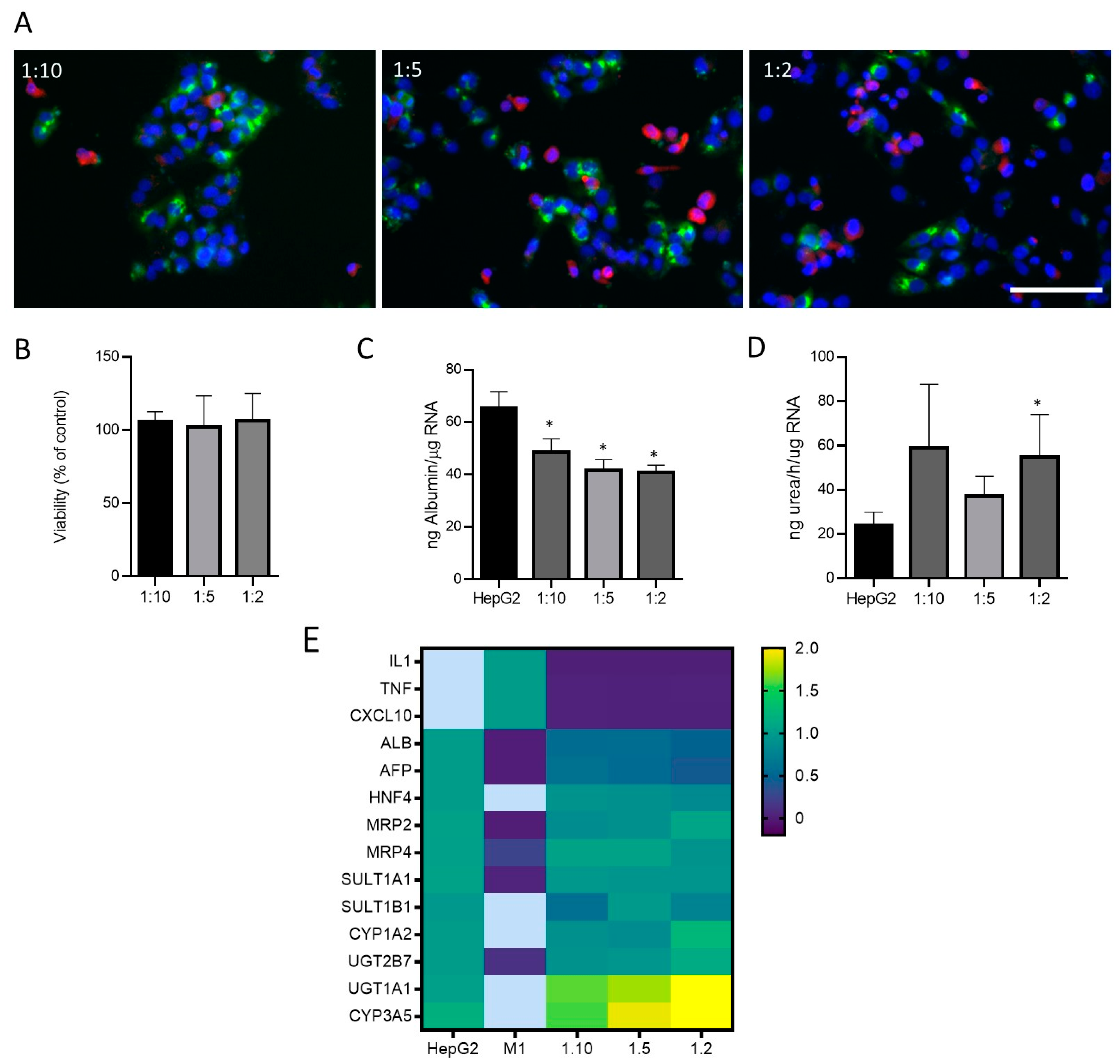 Antioxidants 12 01315 g004