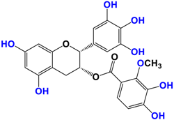 Antioxidants 12 01317 i007