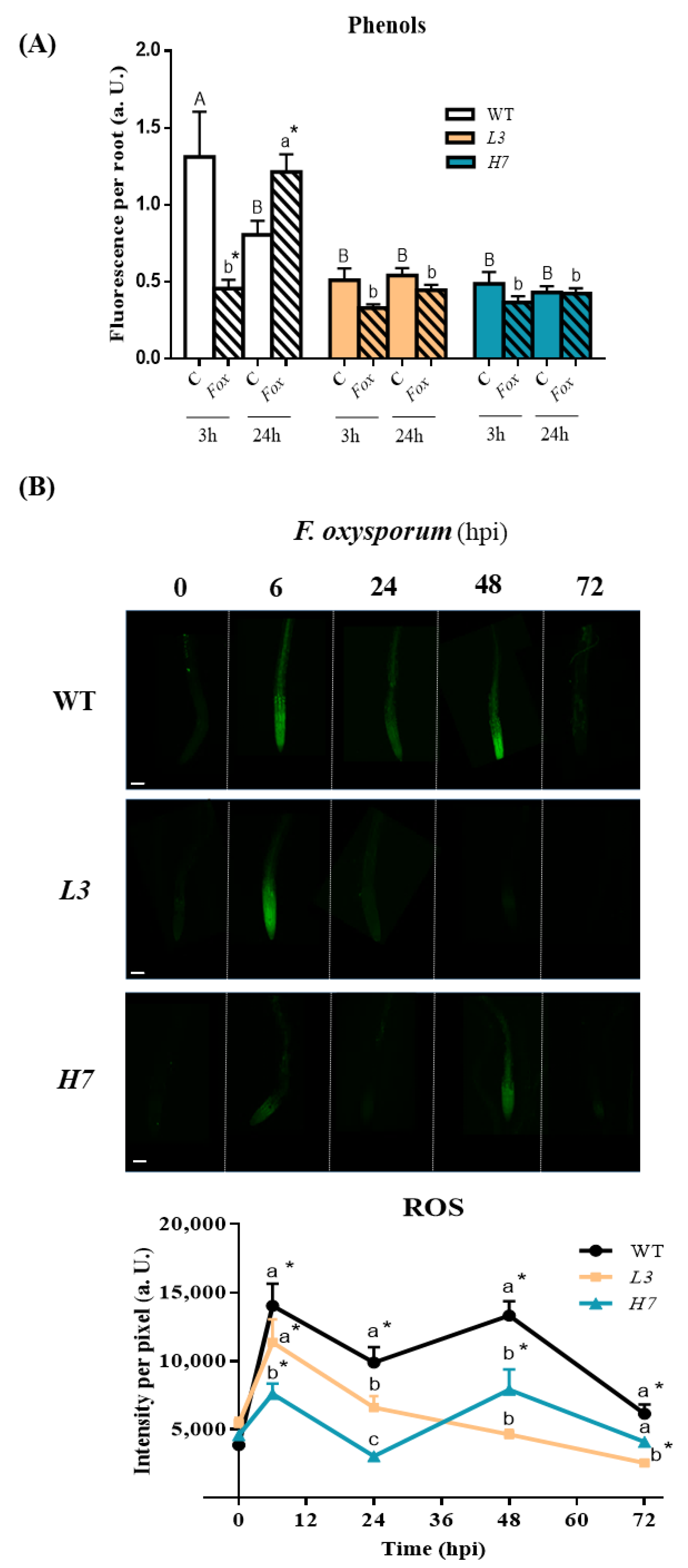 Antioxidants 12 01321 g005 Antioxidants 12 01321 g005