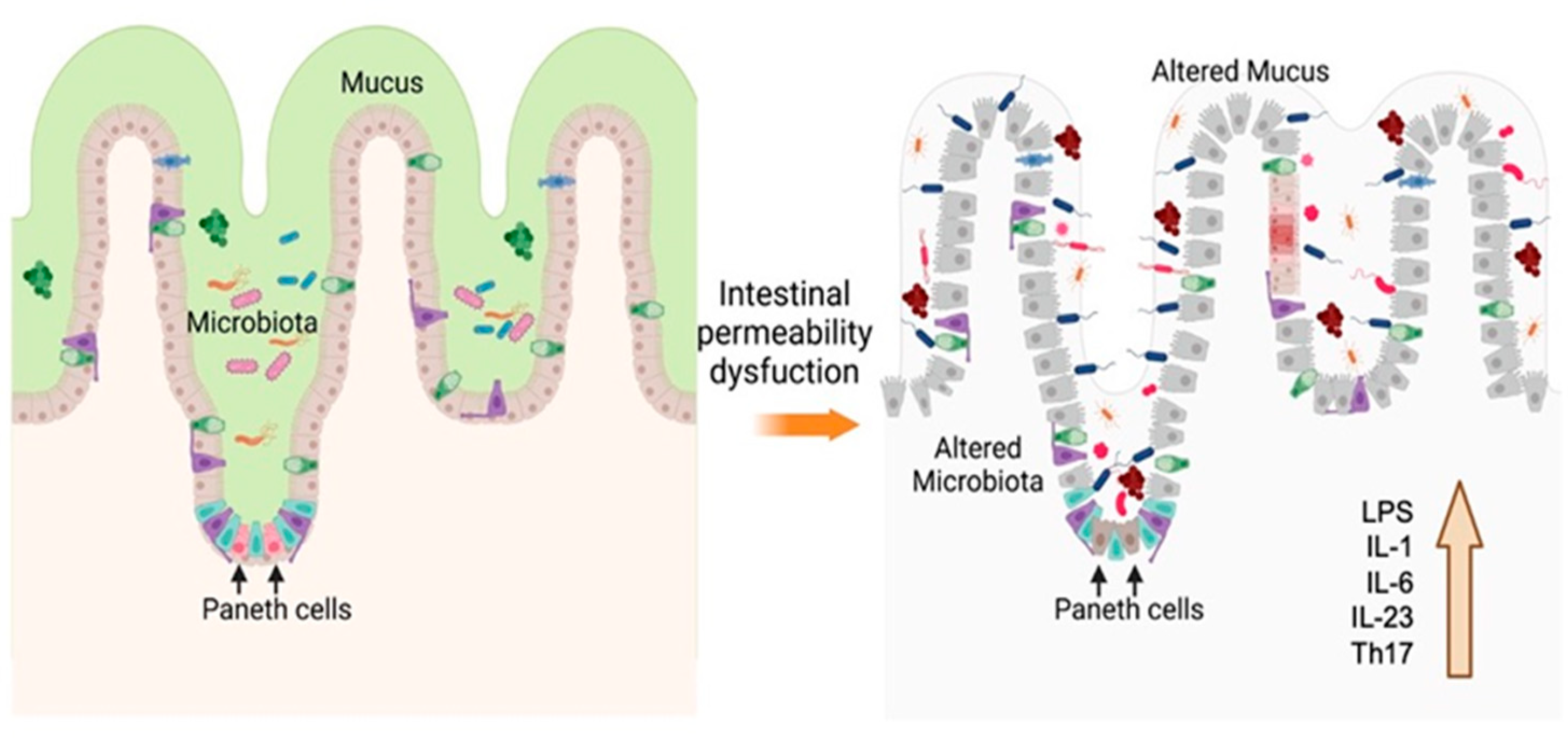 Antioxidants 12 01323 g003