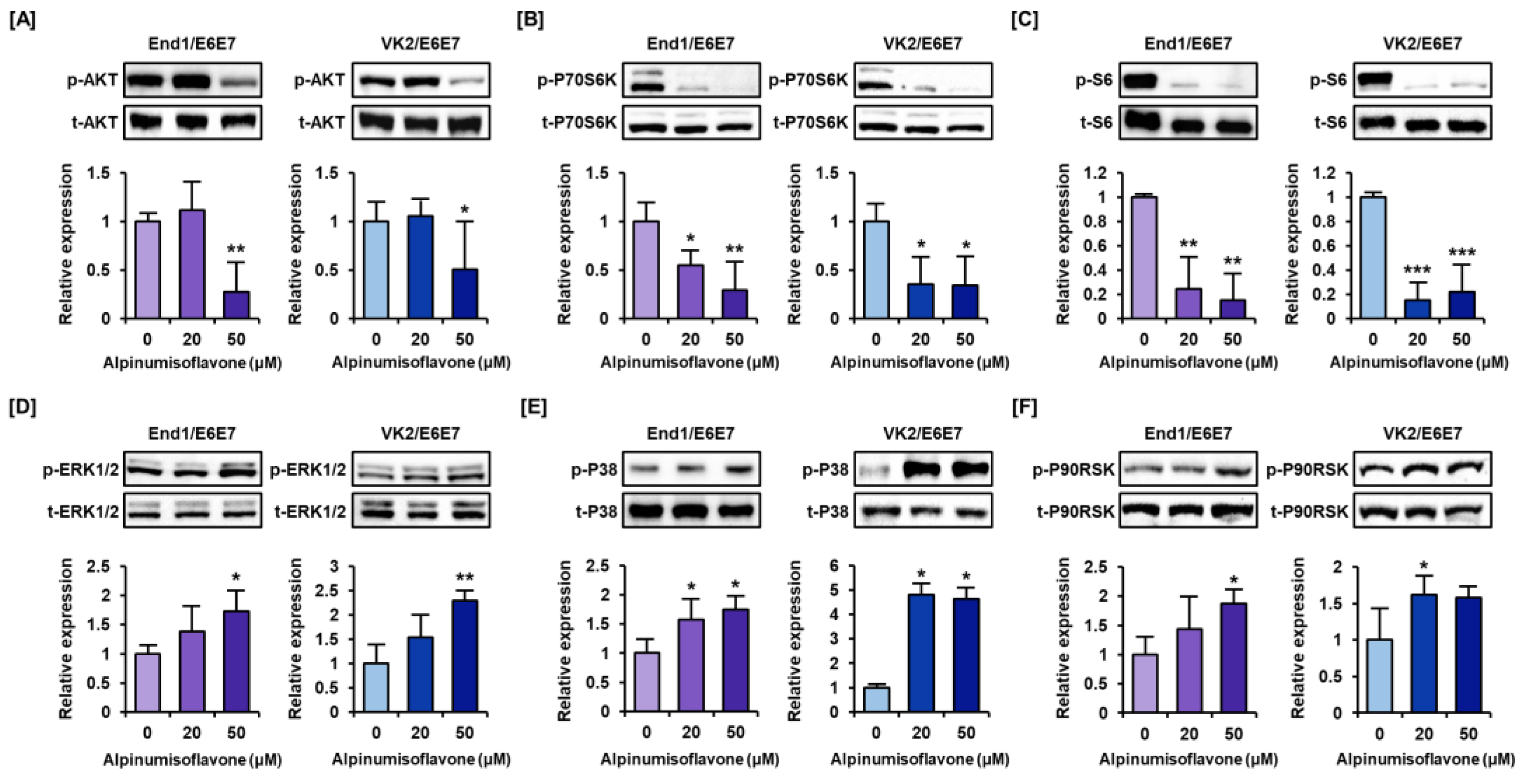 Antioxidants 12 01324 g006 Antioxidants 12 01324 g006