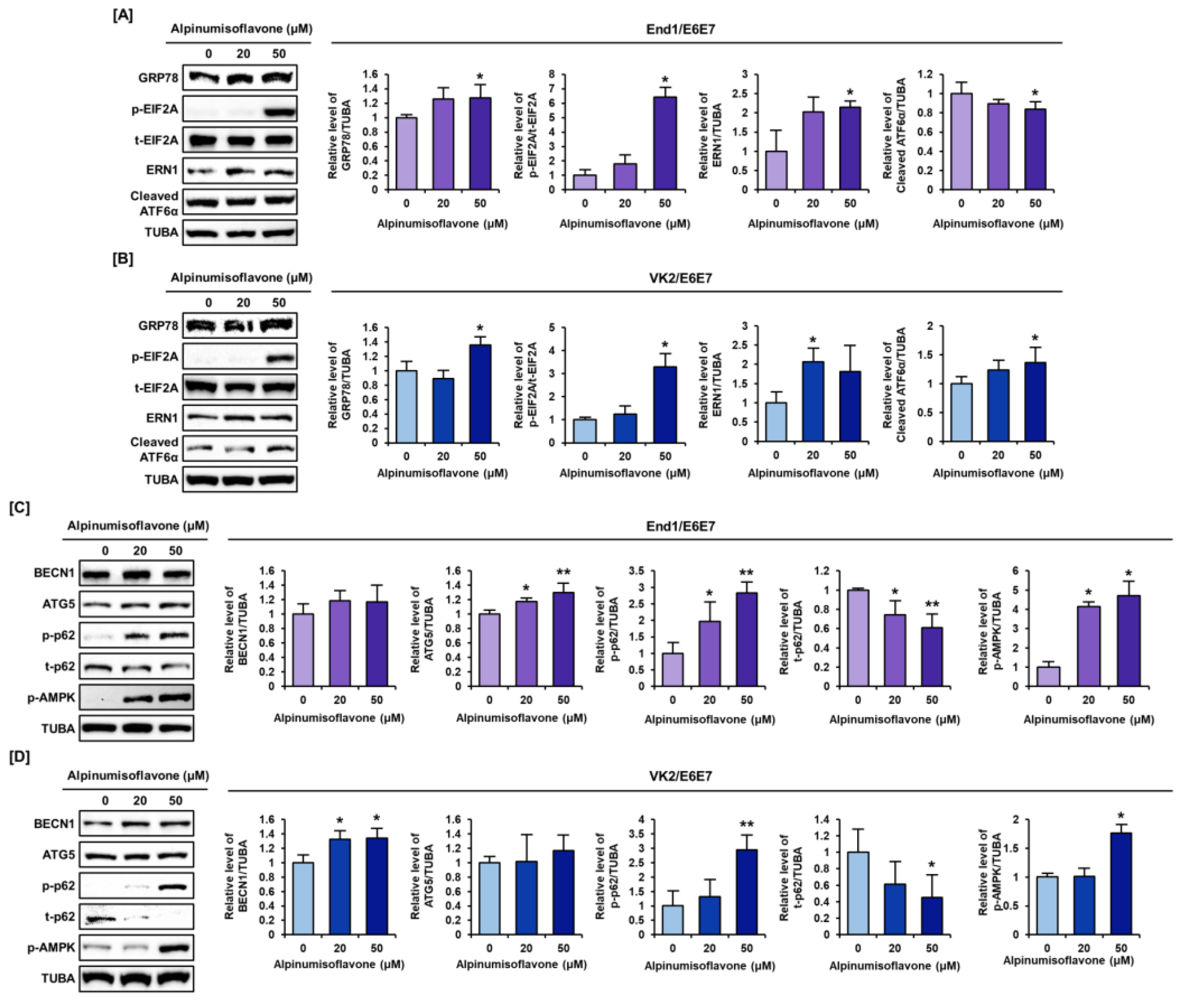 Antioxidants 12 01324 g007 Antioxidants 12 01324 g007