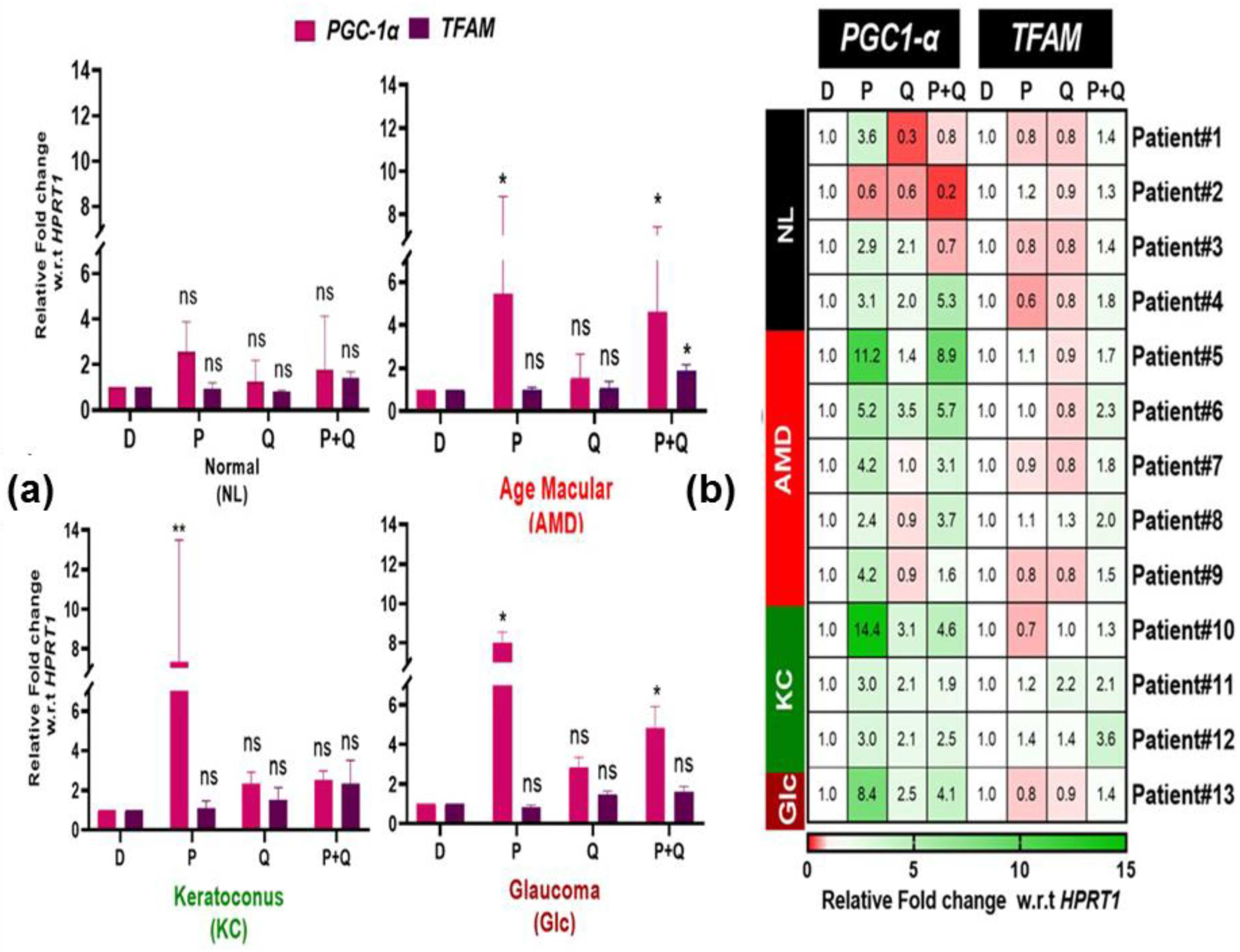 Antioxidants 12 01326 g003