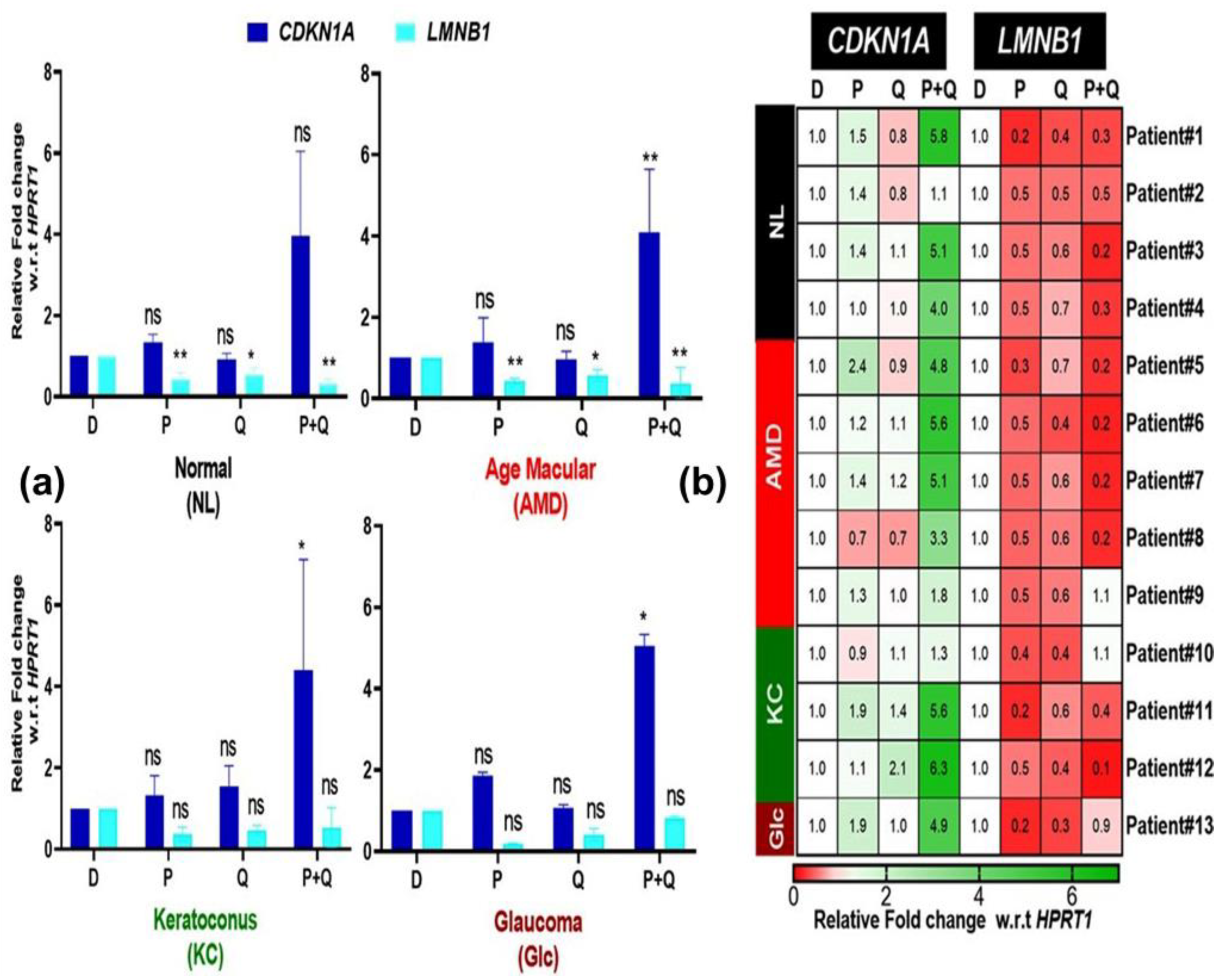 Antioxidants 12 01326 g008