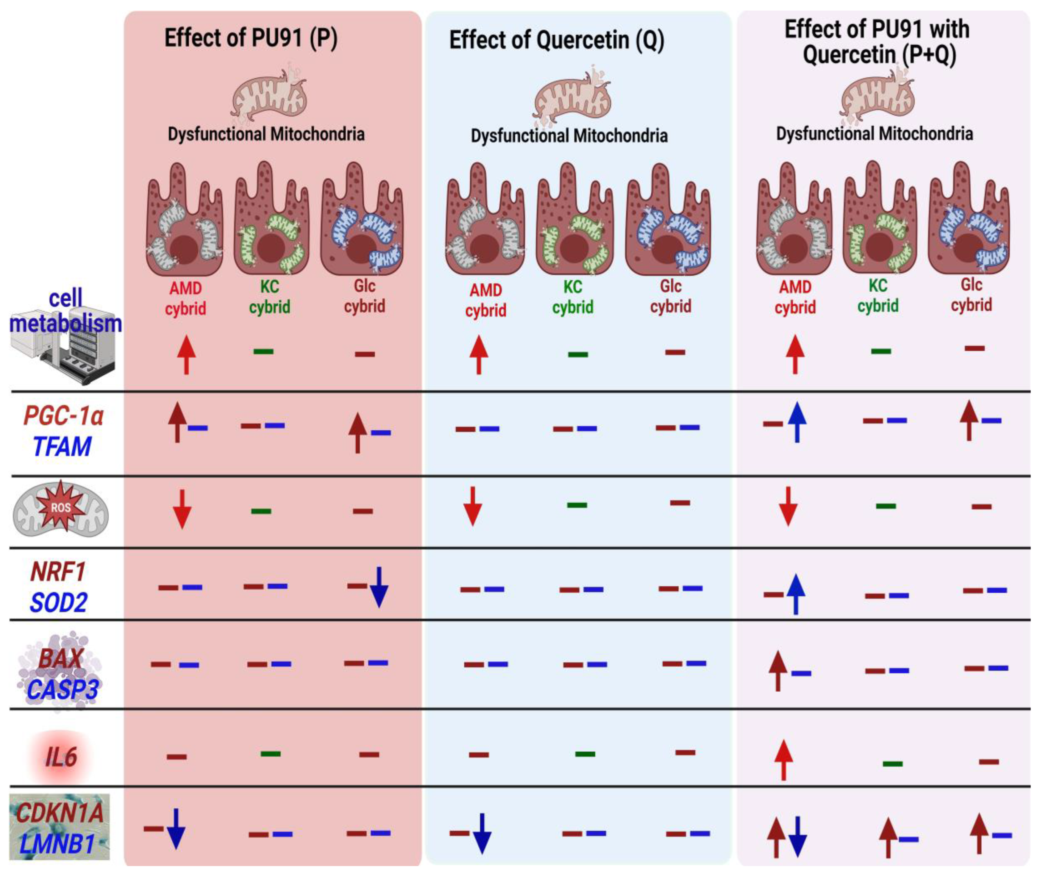Antioxidants 12 01326 g009