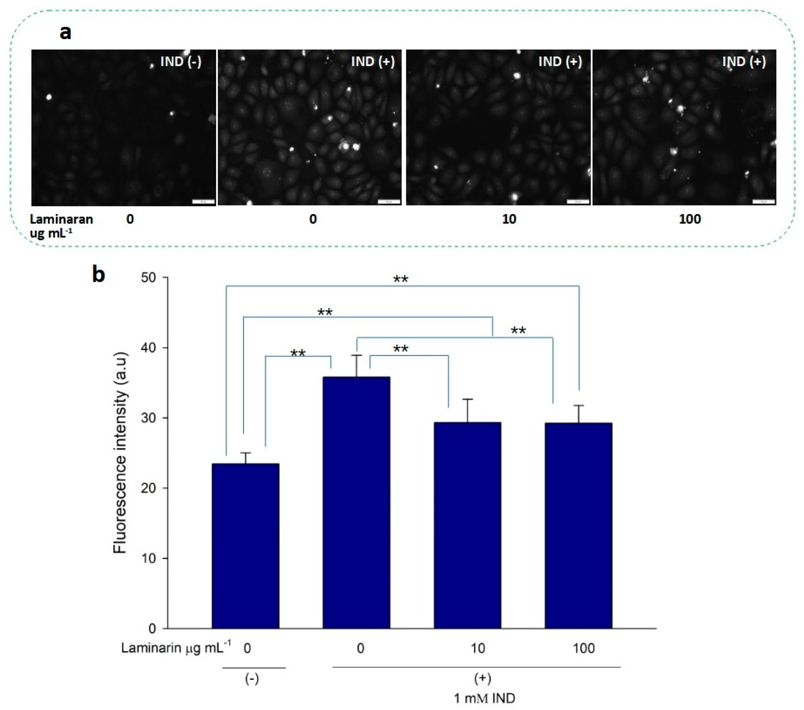 Antioxidants 12 01328 g002