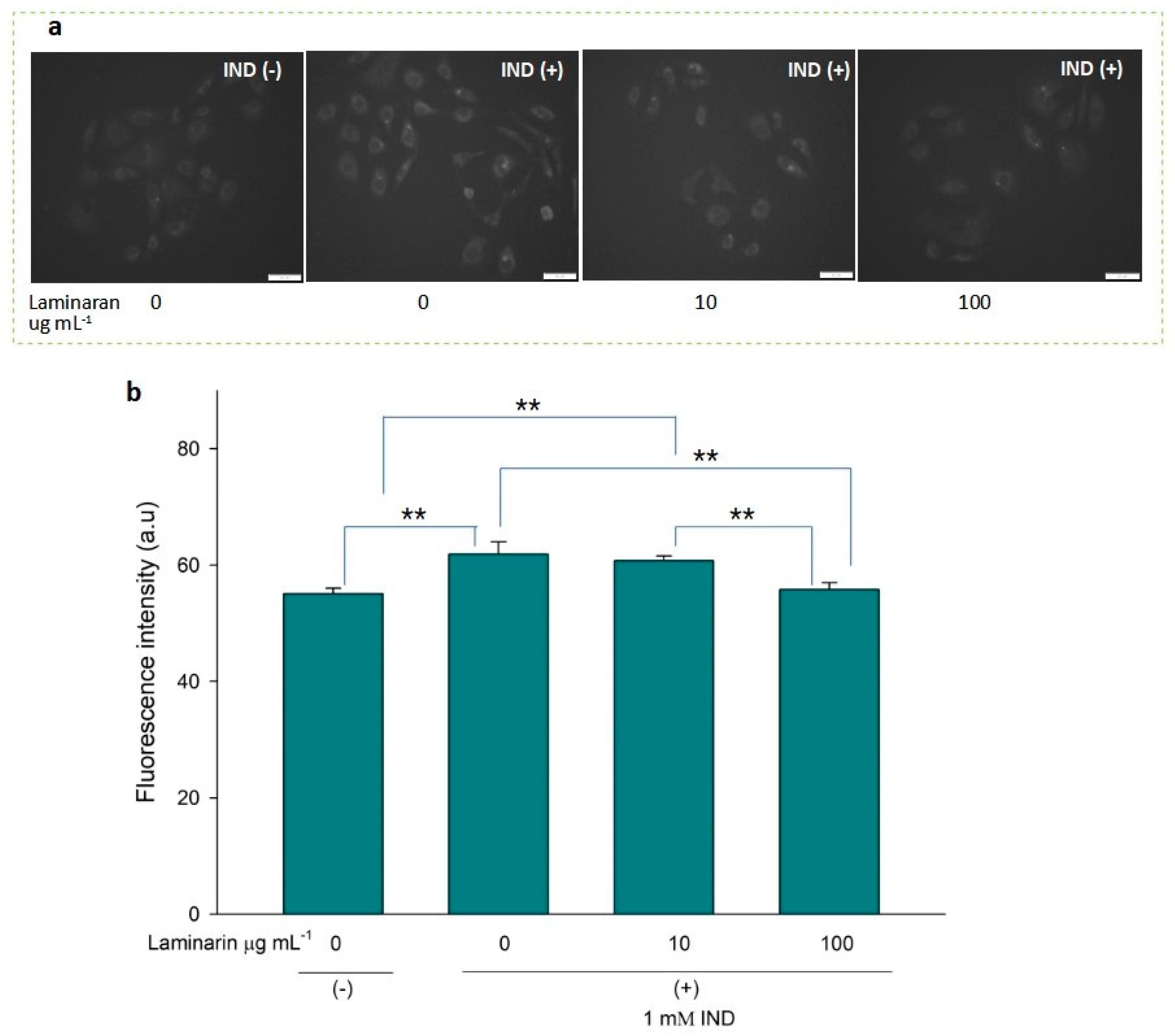 Antioxidants 12 01328 g004