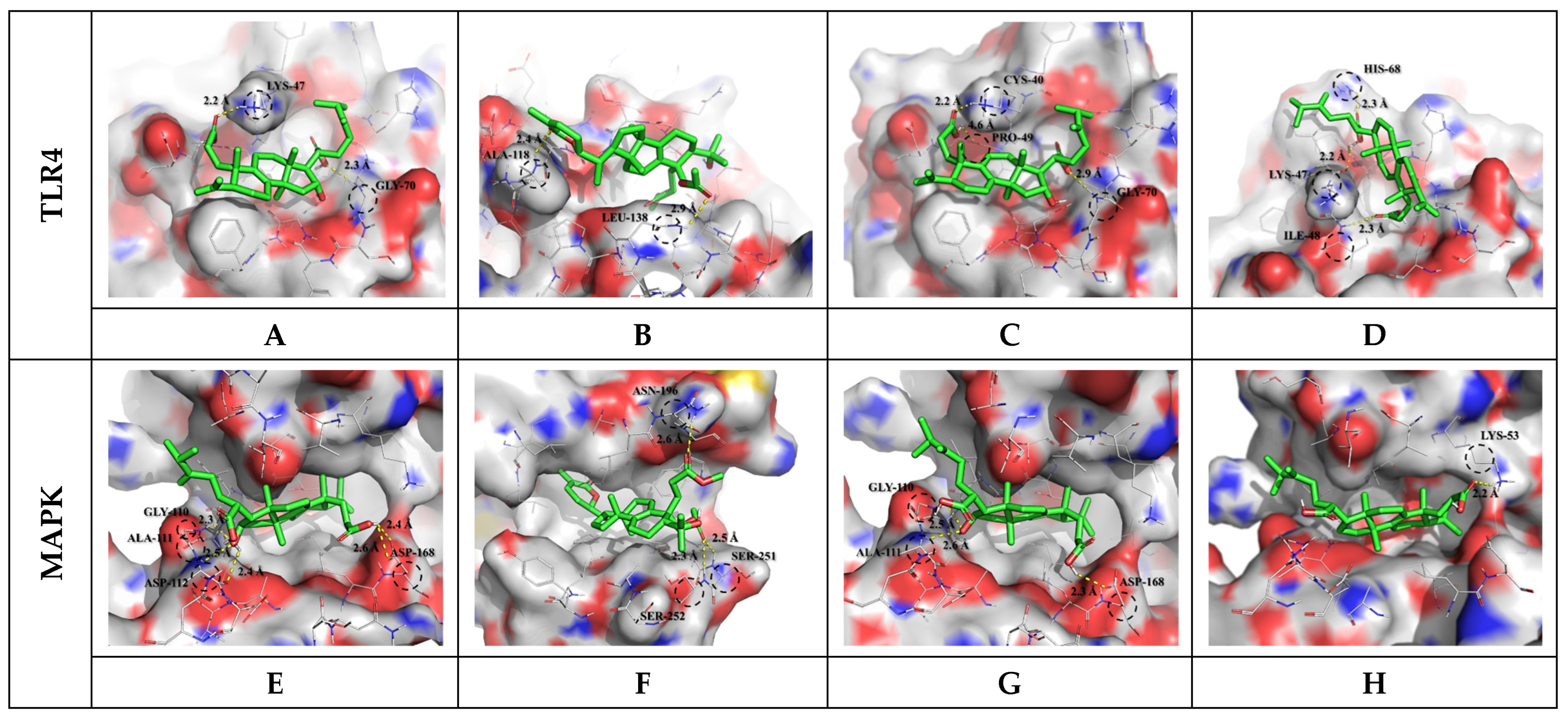 Antioxidants 12 01329 g002