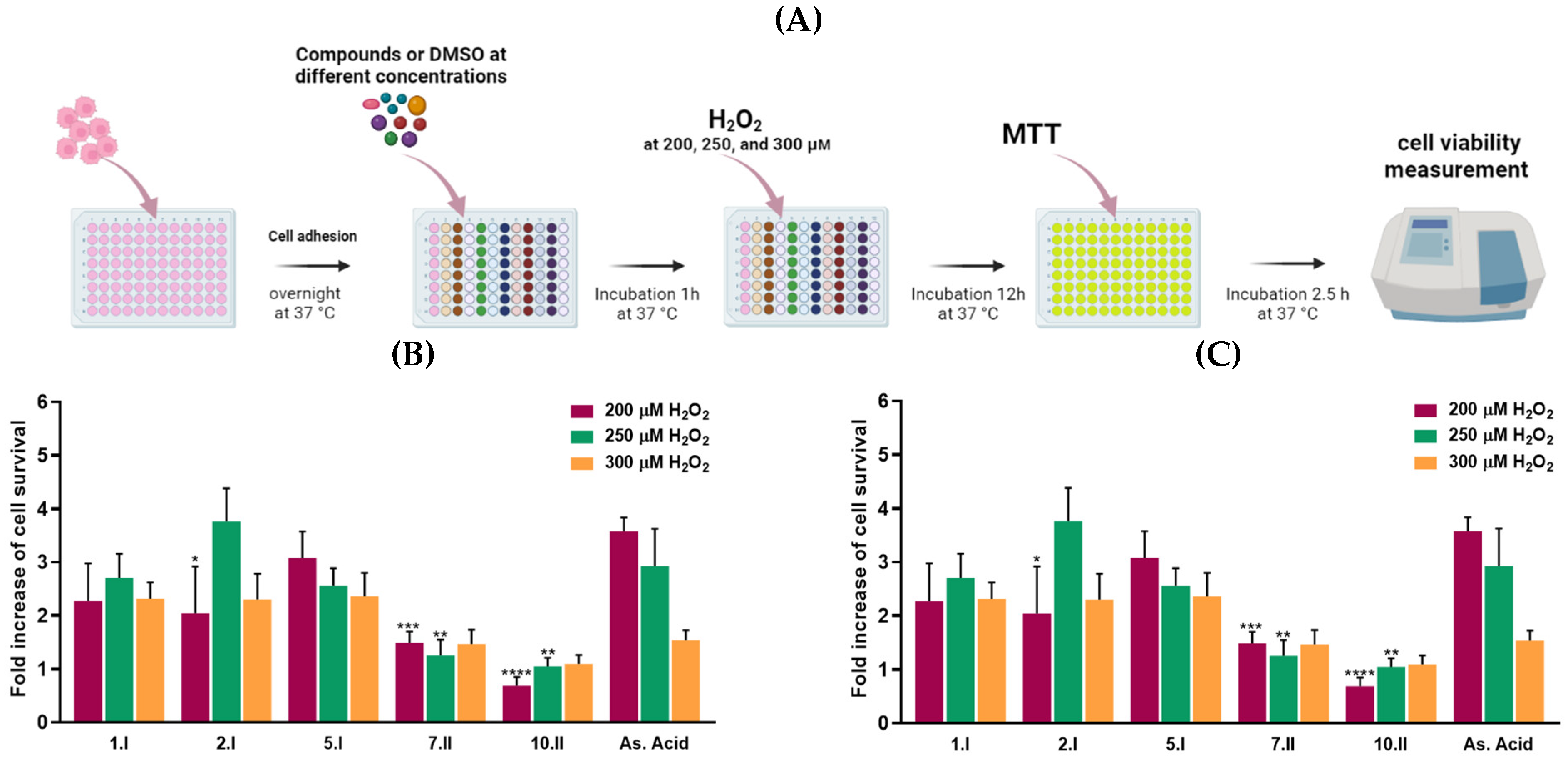 Antioxidants 12 01331 g007