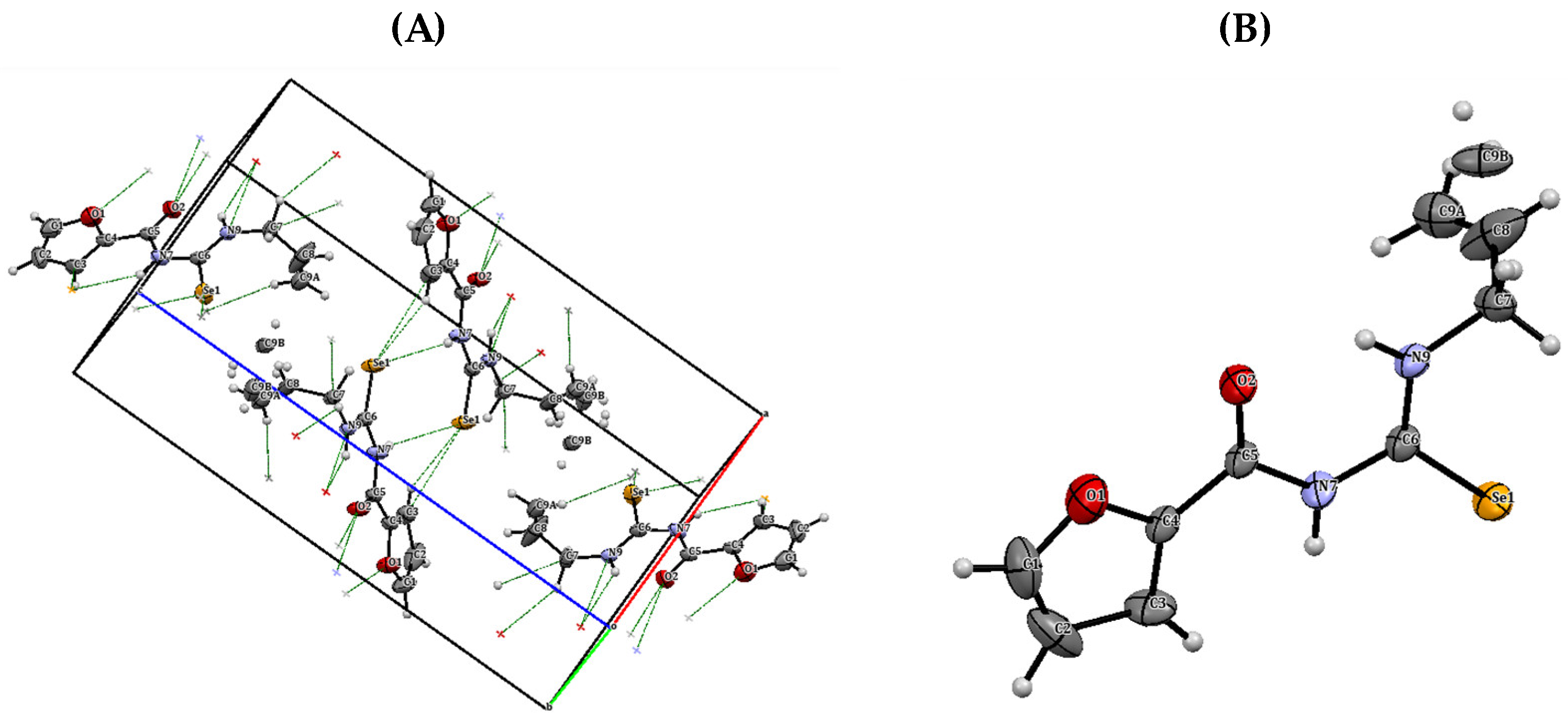 Antioxidants 12 01331 g010