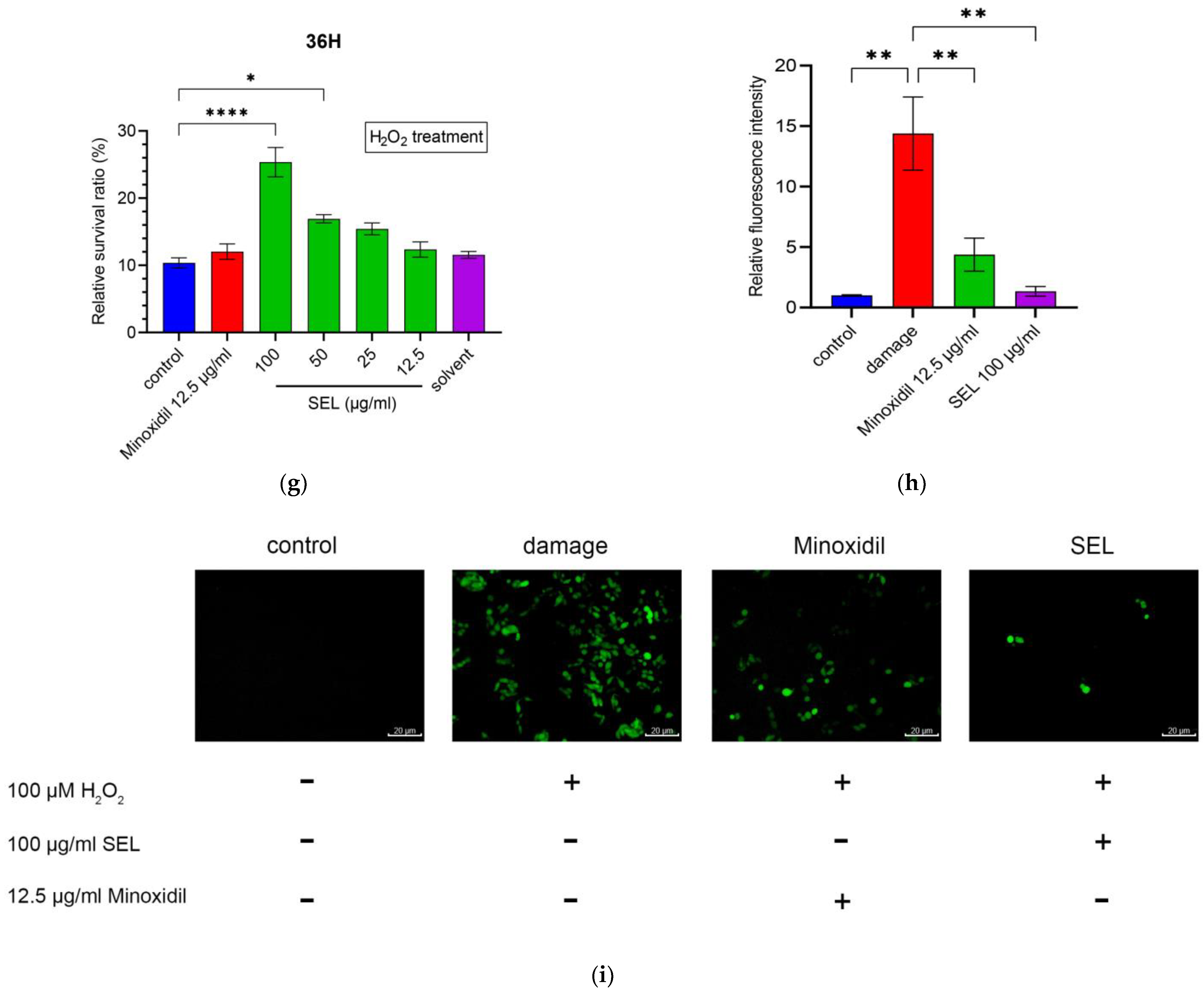 Antioxidants 12 01332 g001b