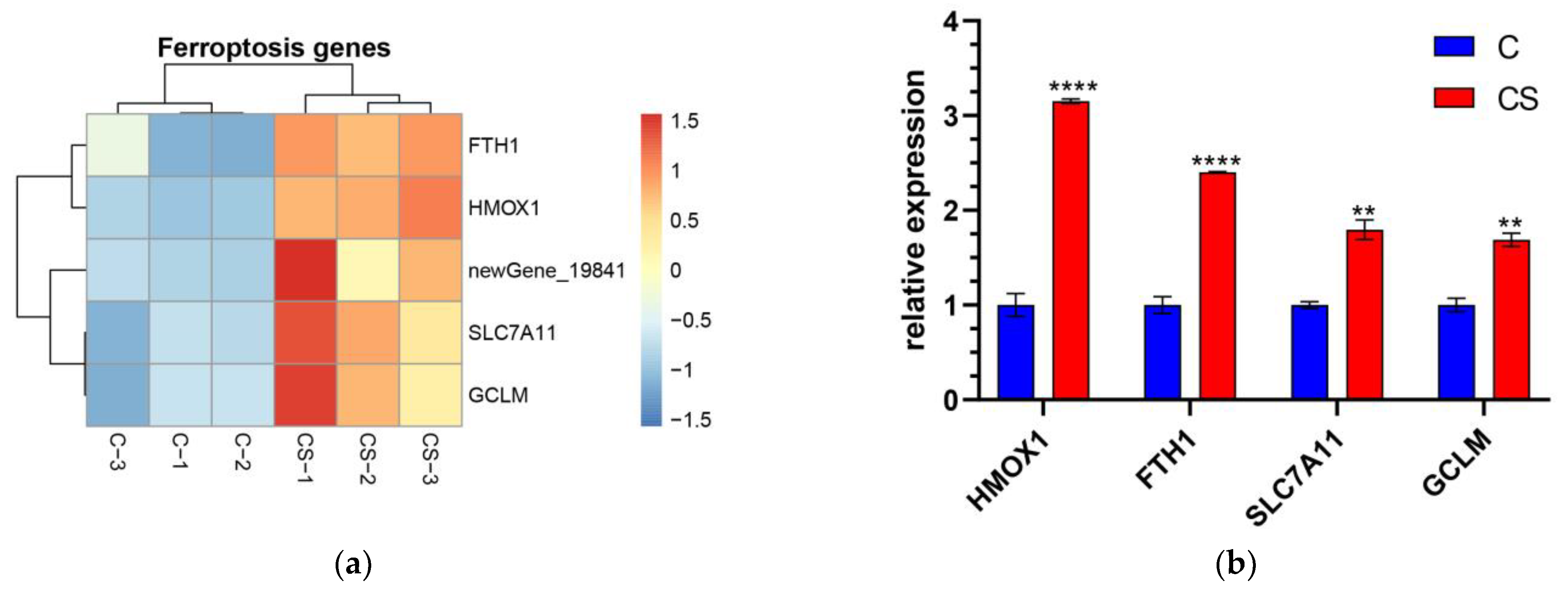 Antioxidants 12 01332 g004a