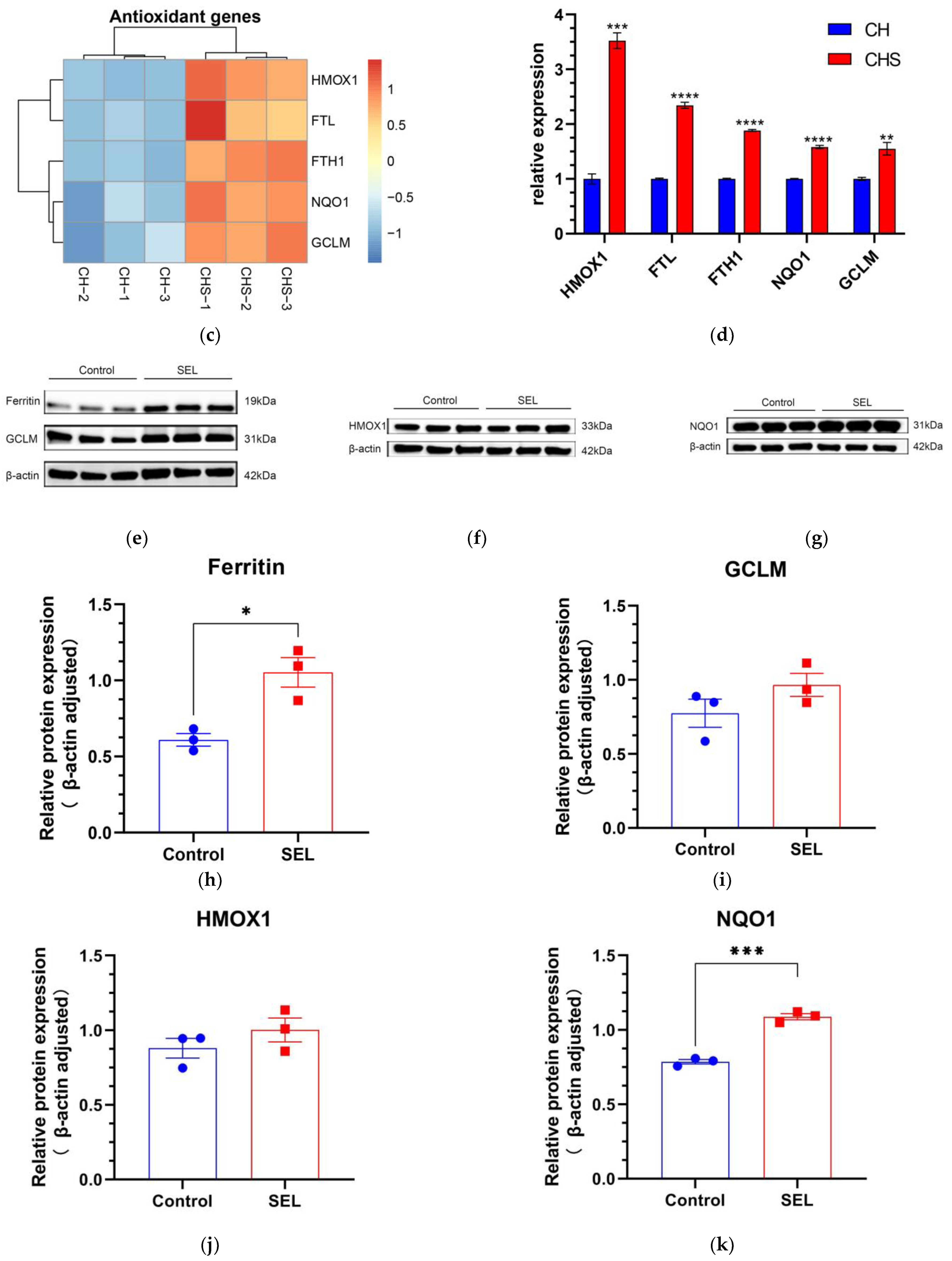Antioxidants 12 01332 g004b