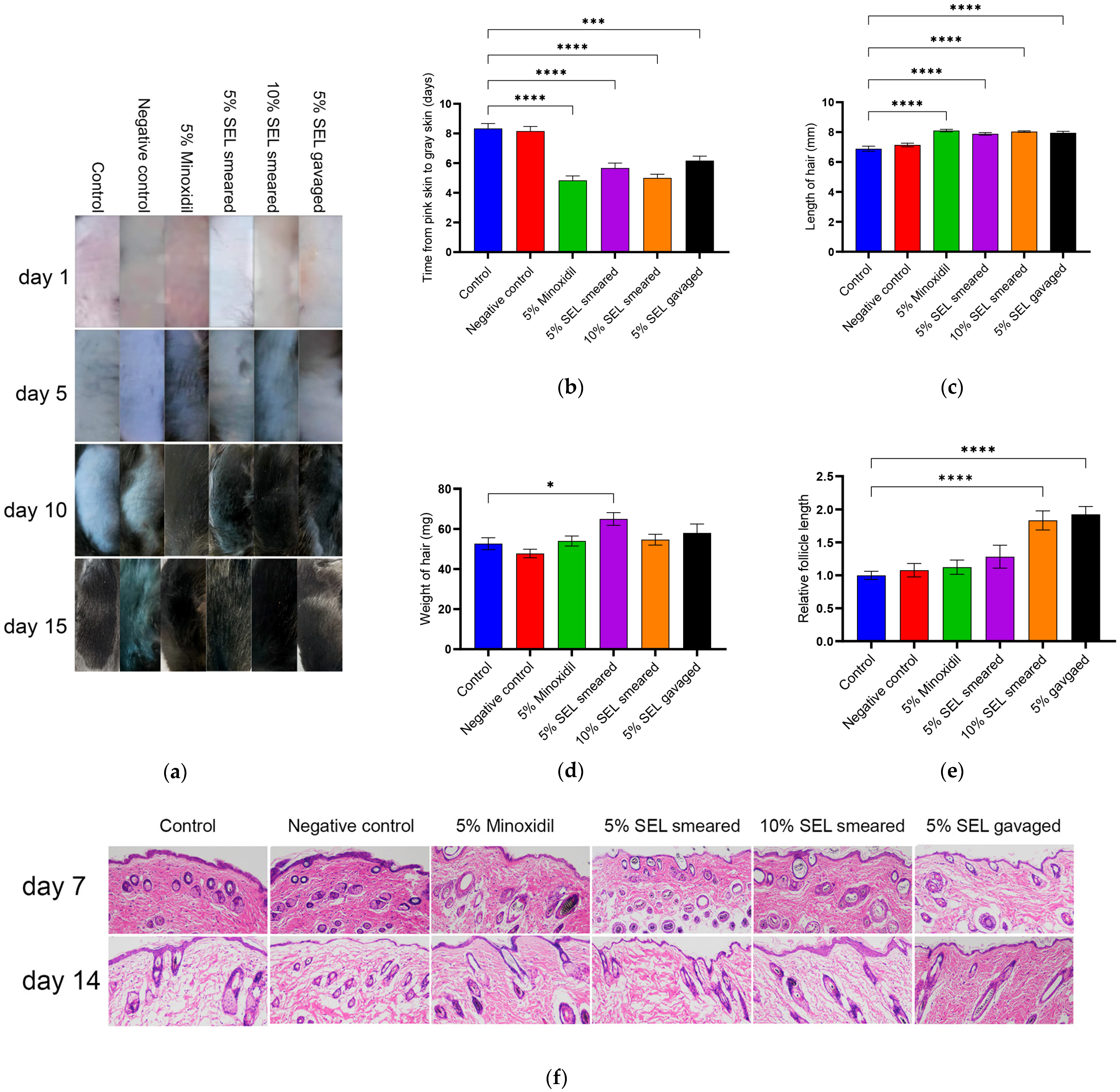 Antioxidants 12 01332 g005