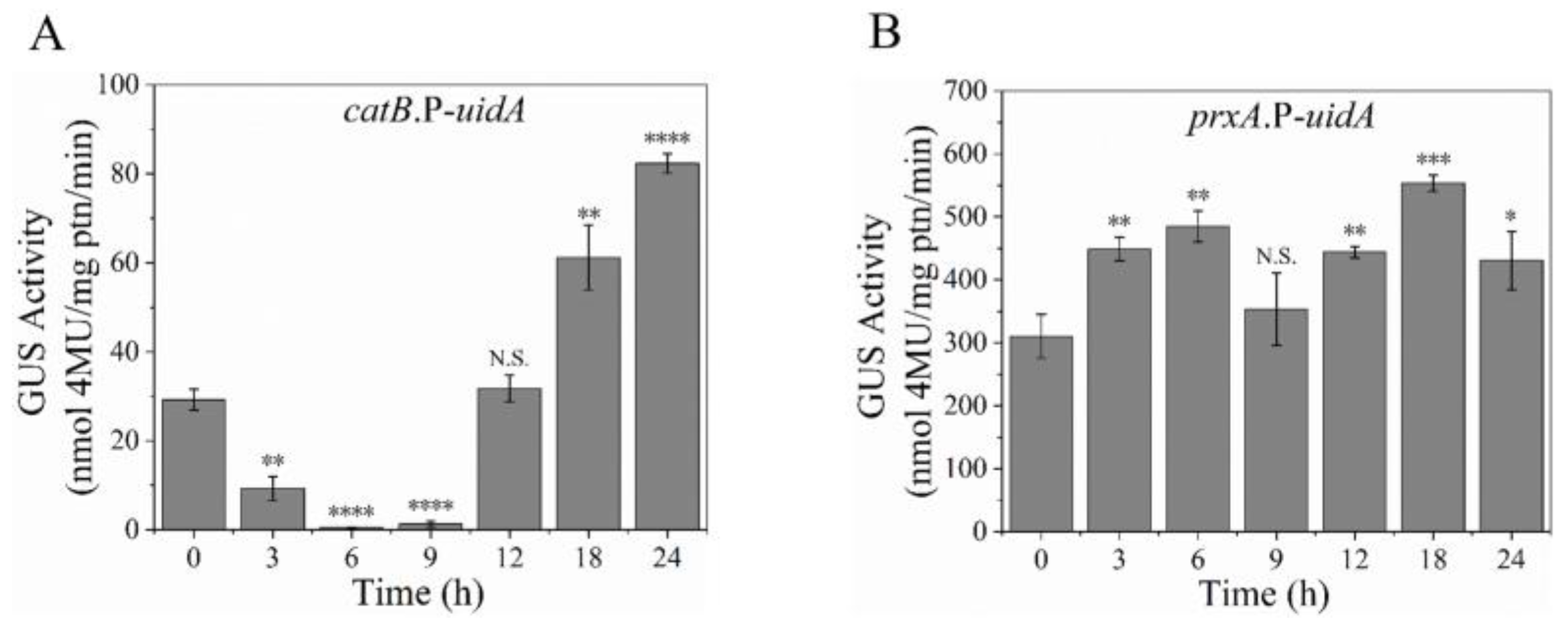 Antioxidants 12 01333 g002