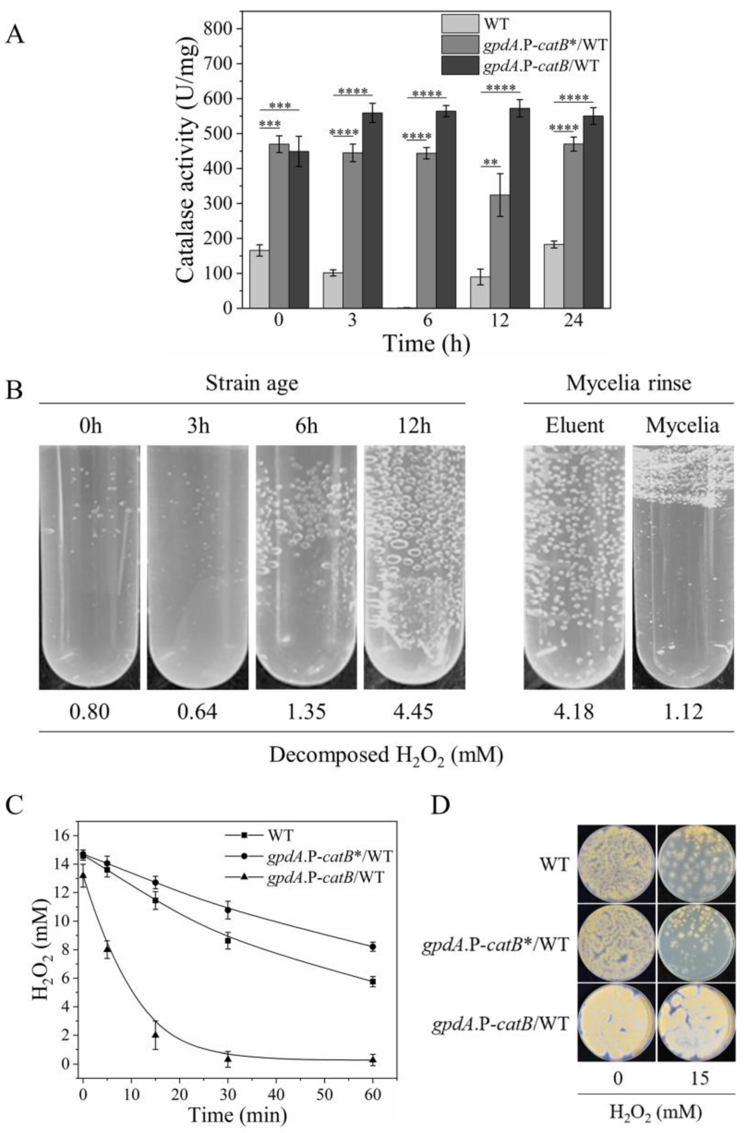 Antioxidants 12 01333 g004