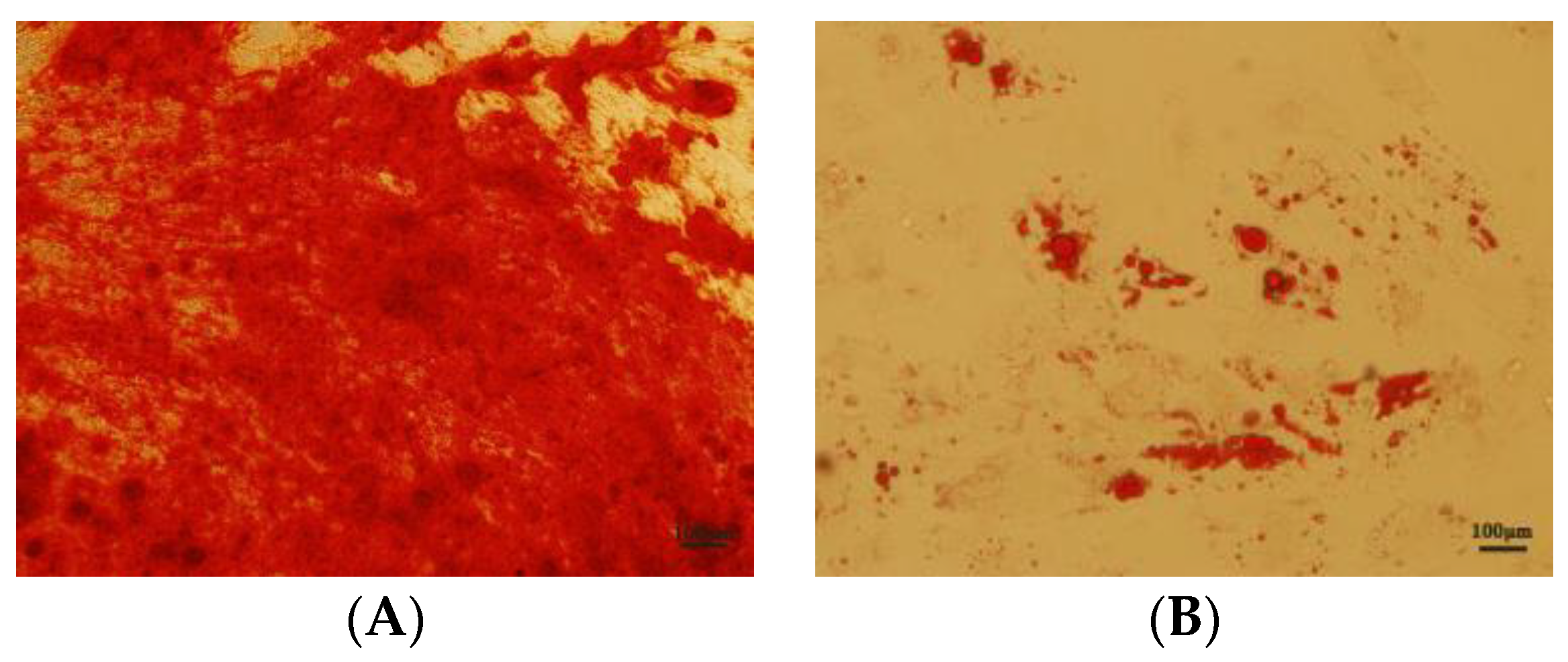 Antioxidants 12 01334 g003