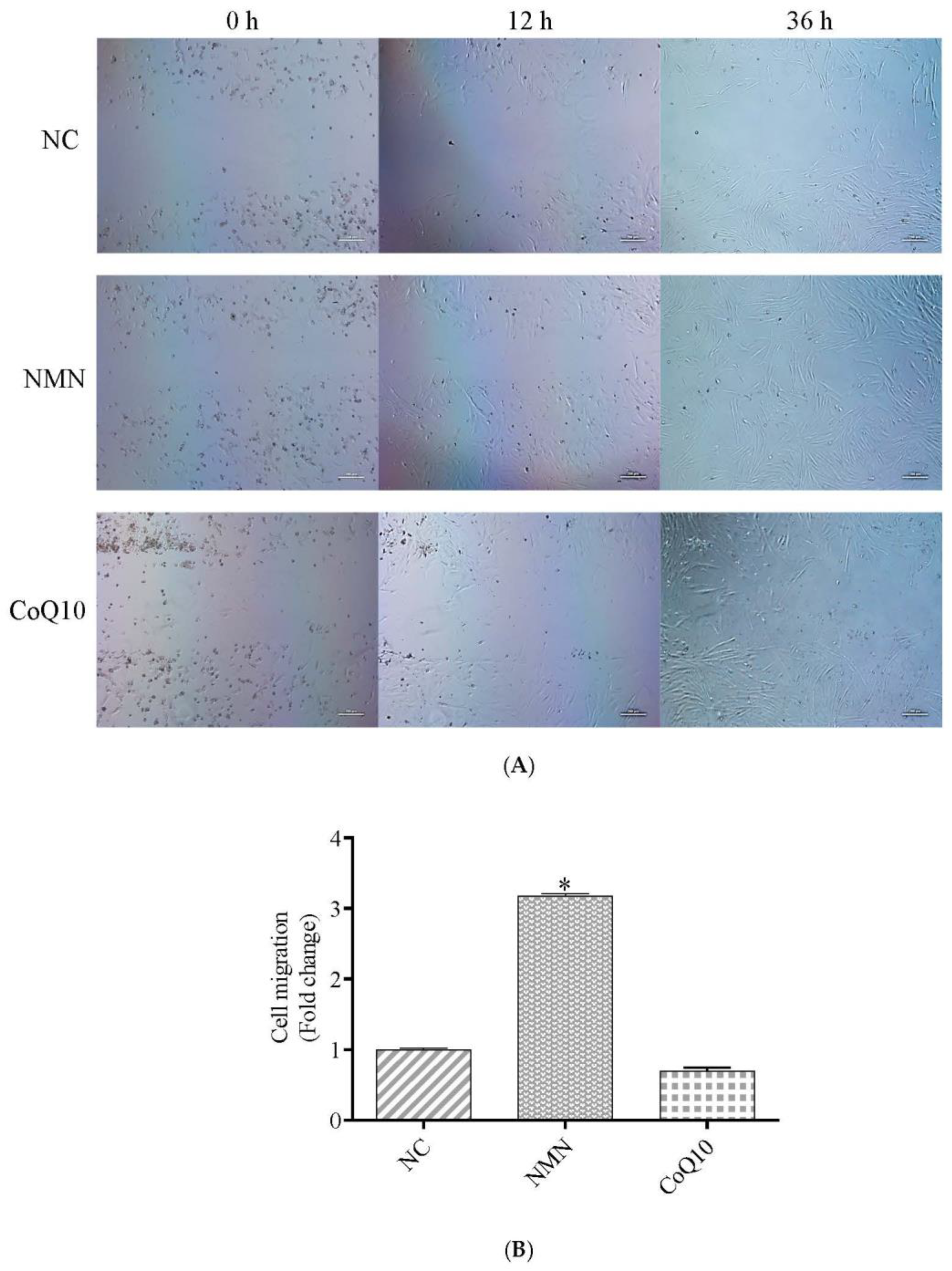 Antioxidants 12 01334 g006