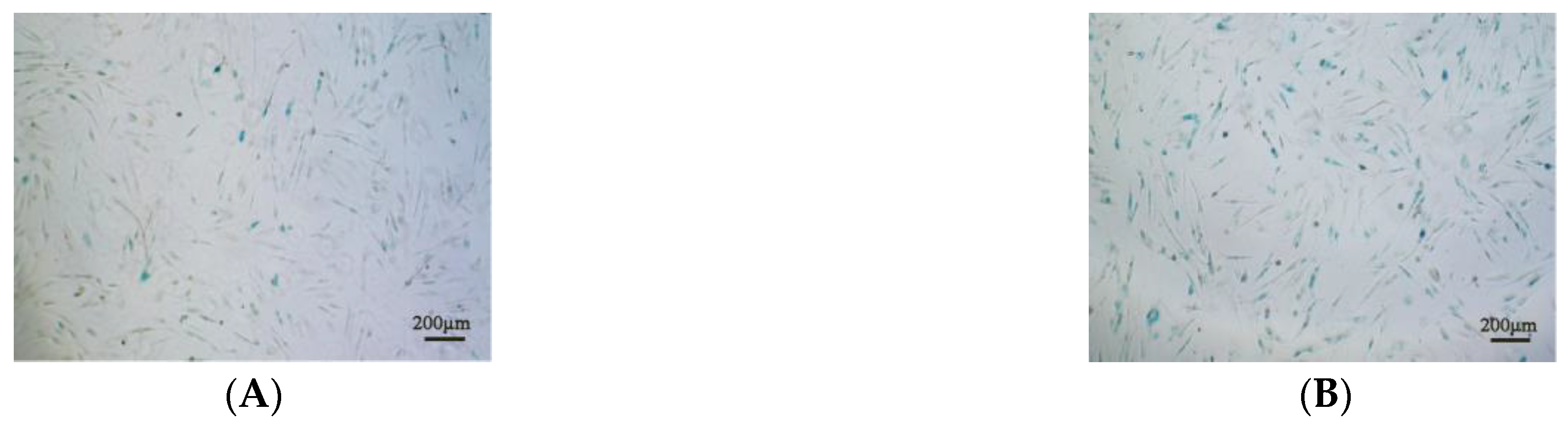 Antioxidants 12 01334 g008a