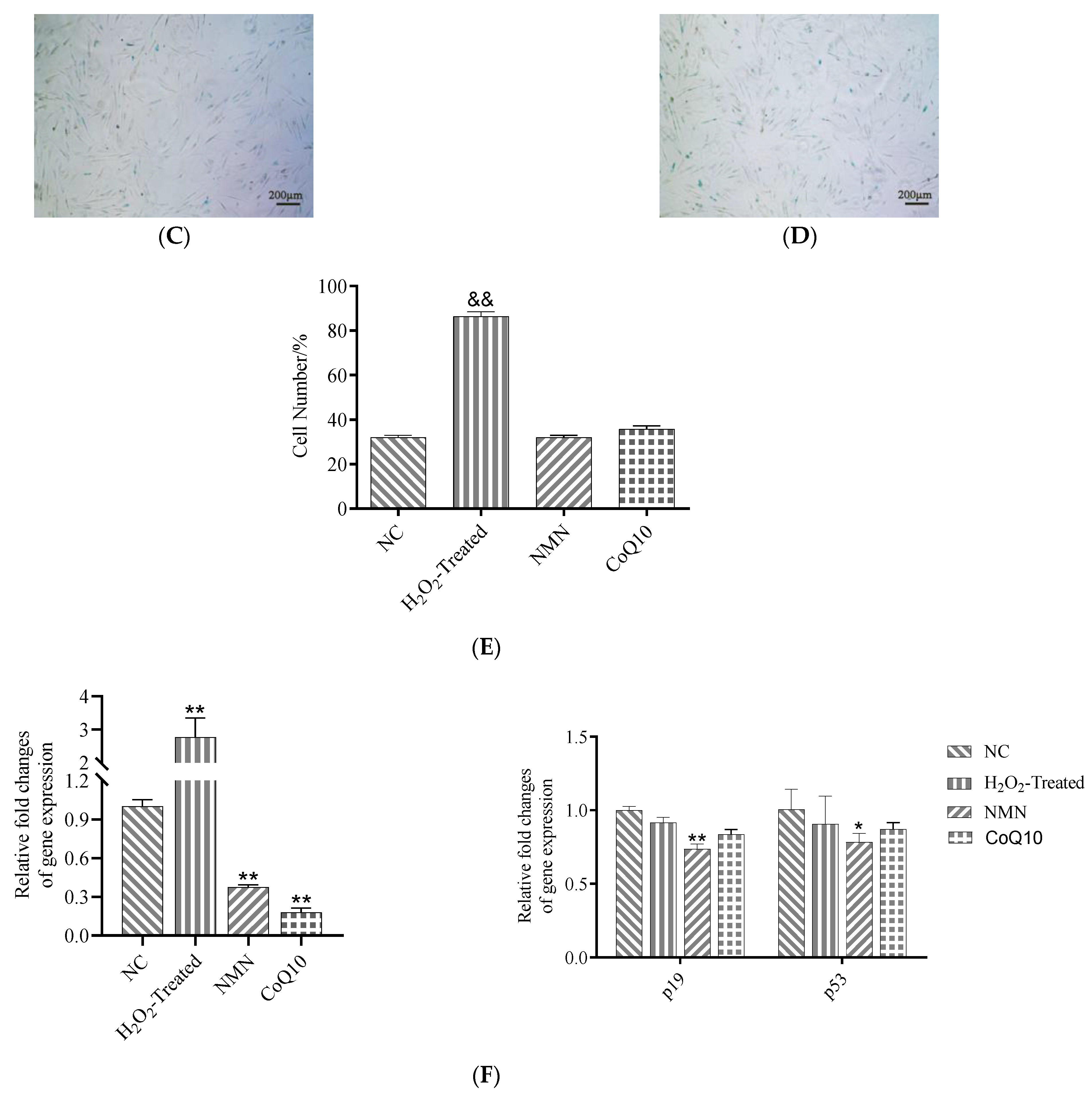 Antioxidants 12 01334 g008b