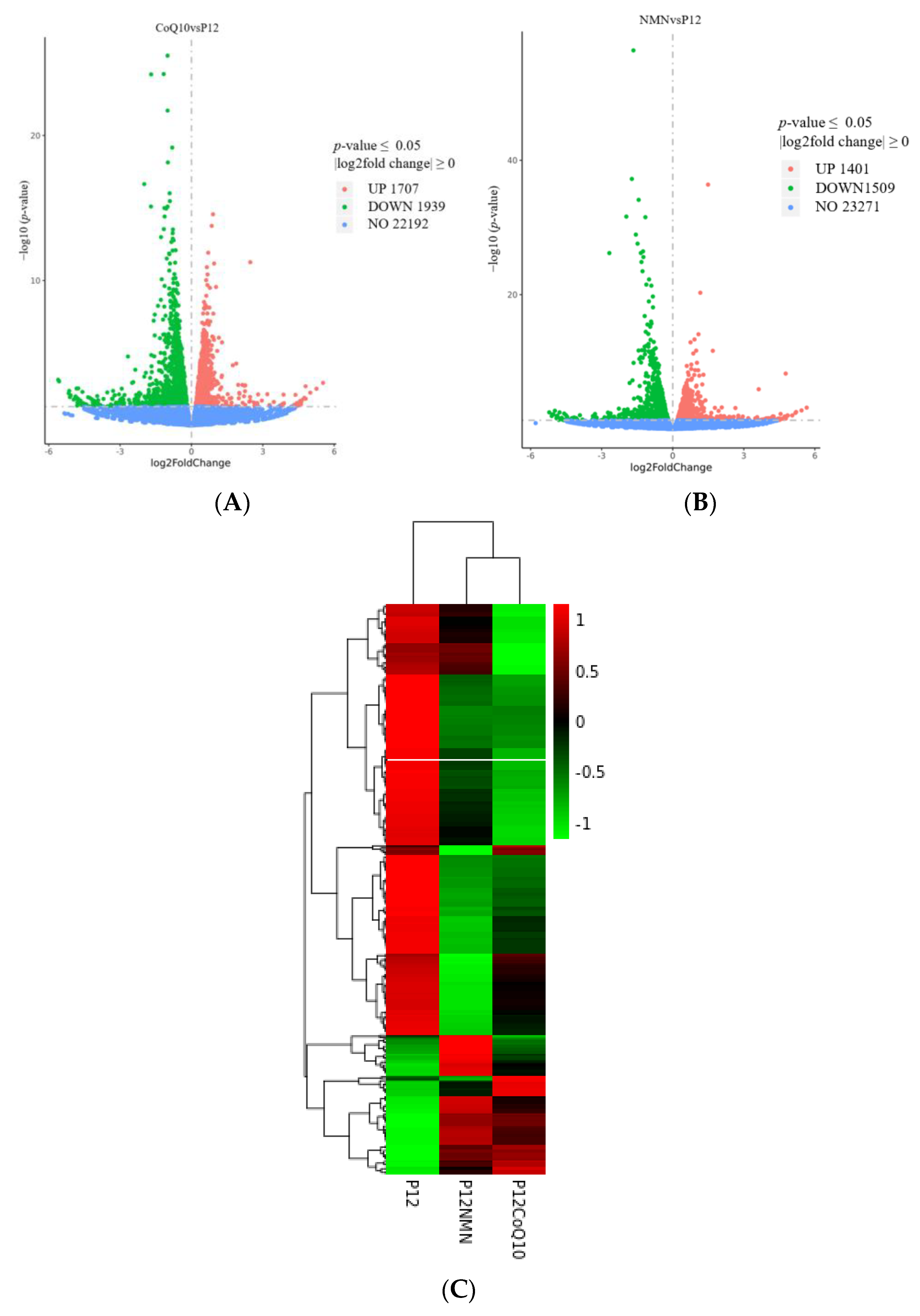 Antioxidants 12 01334 g011