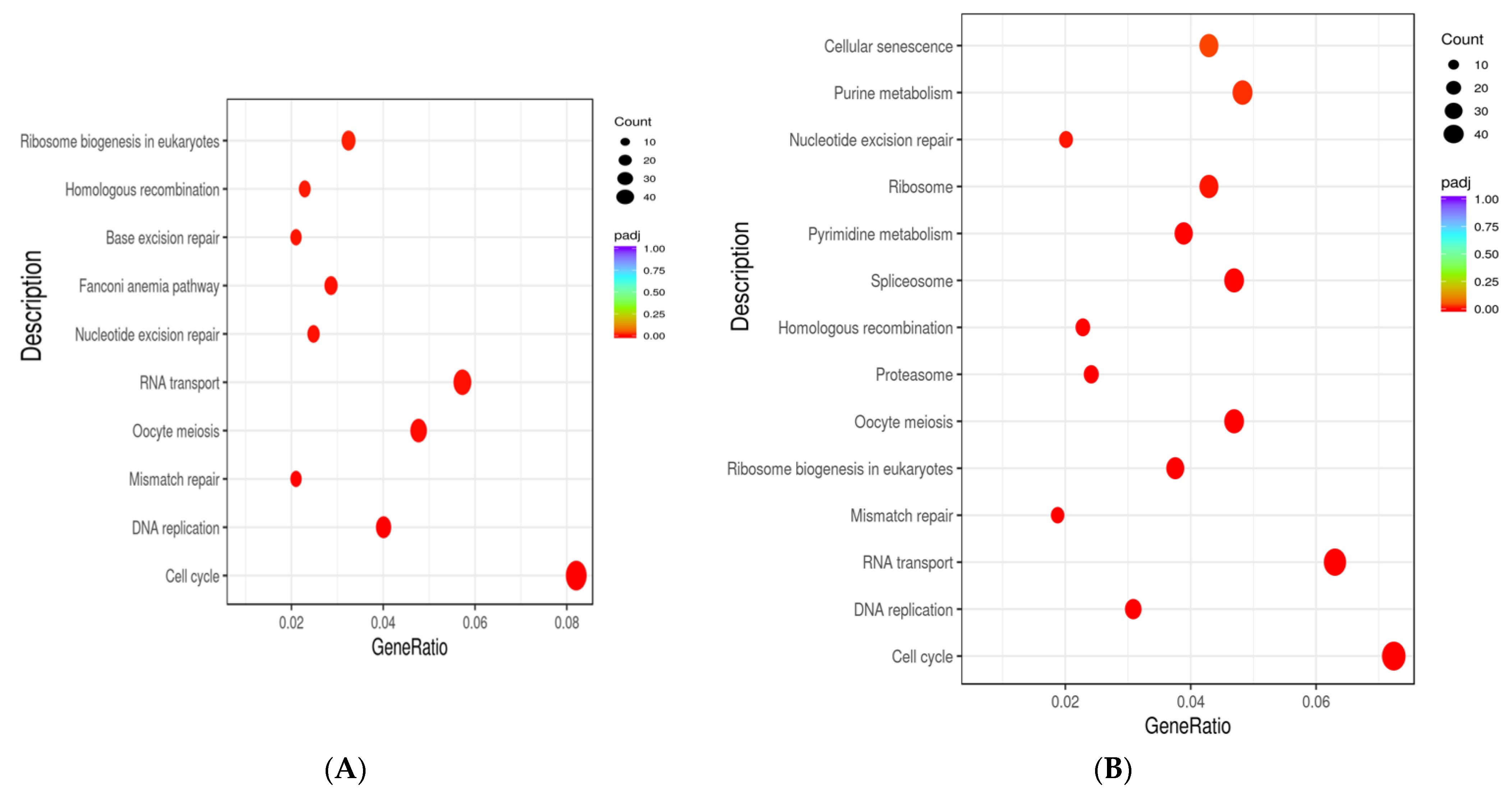 Antioxidants 12 01334 g012
