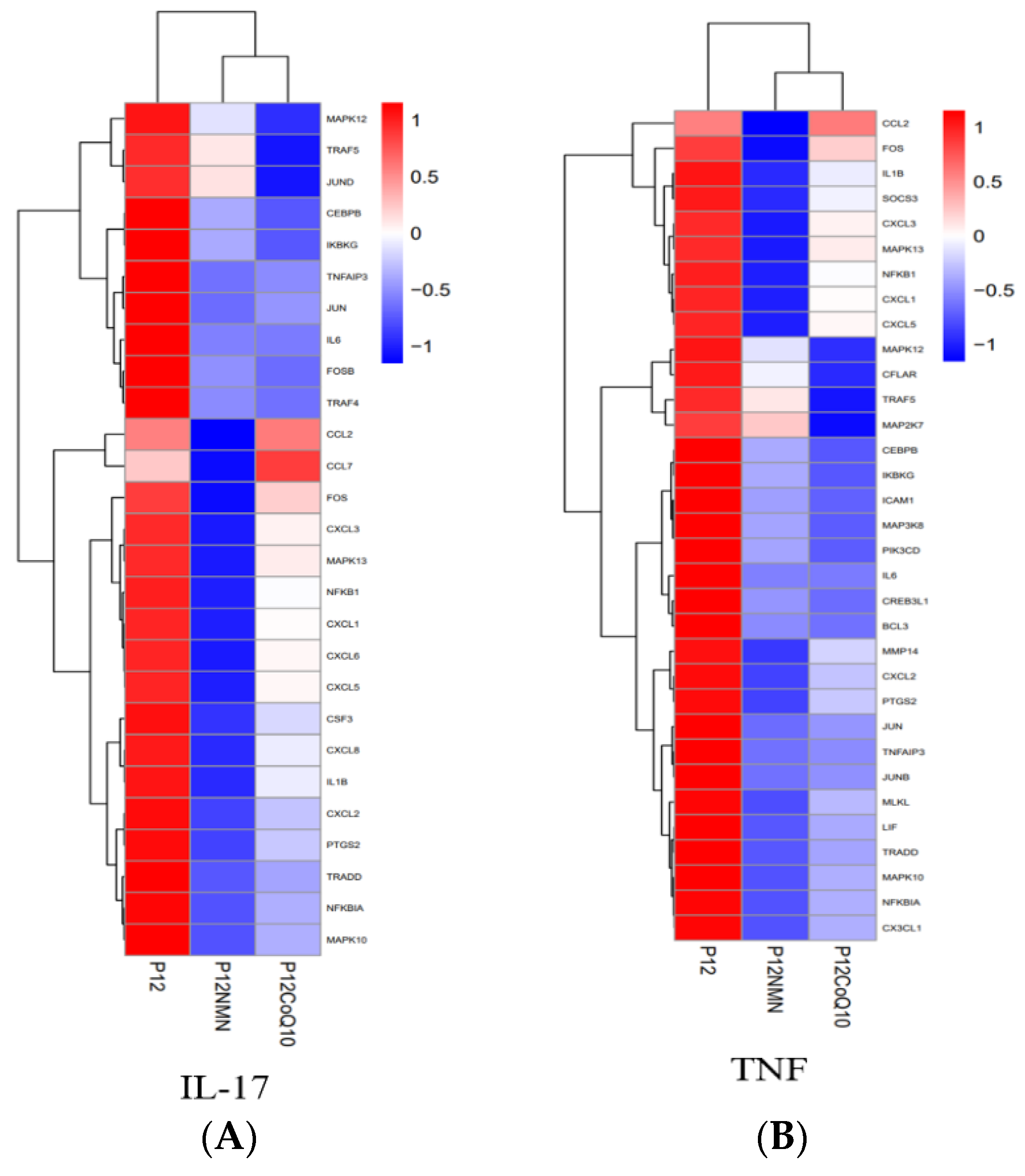 Antioxidants 12 01334 g013