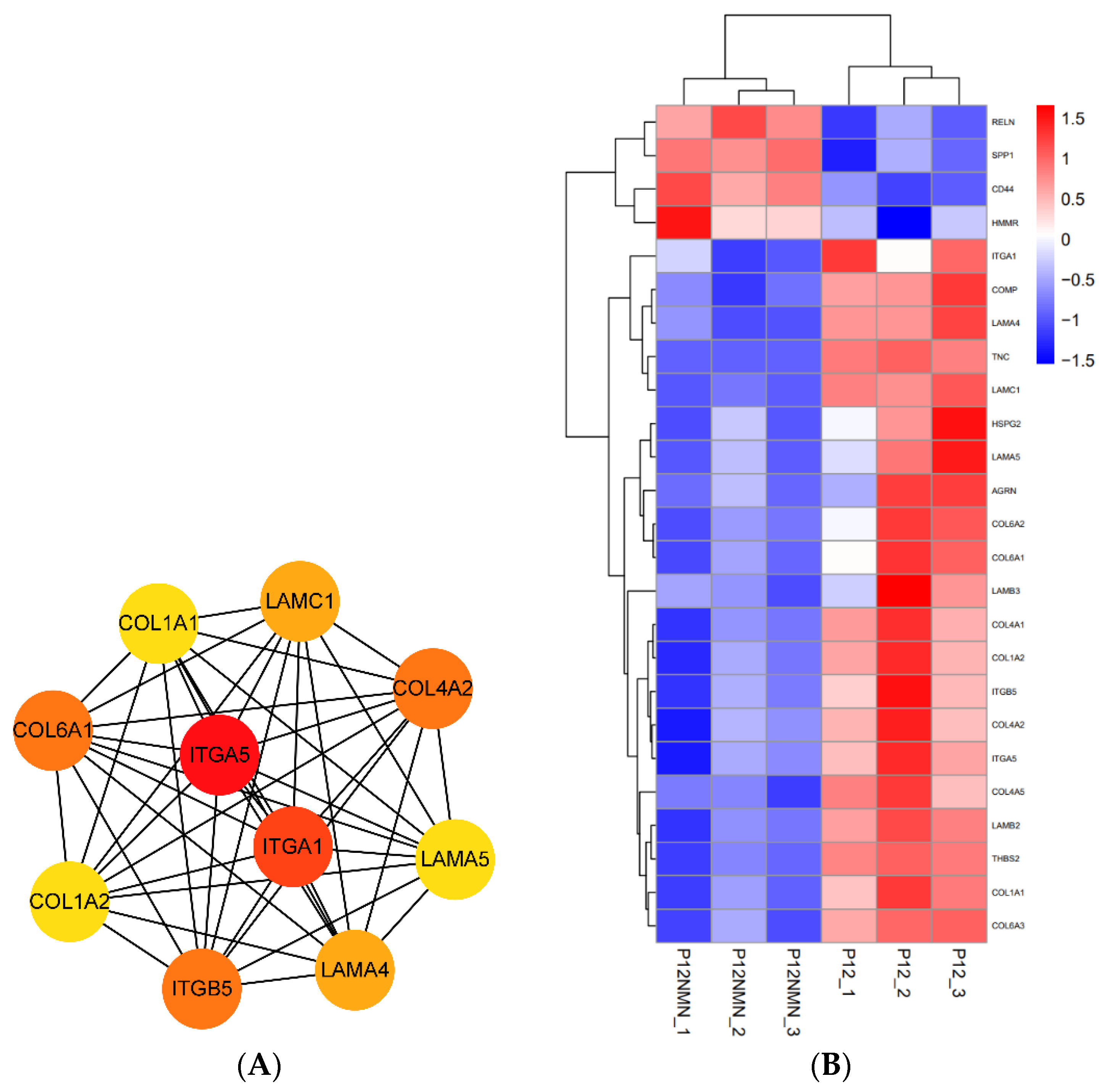 Antioxidants 12 01334 g014