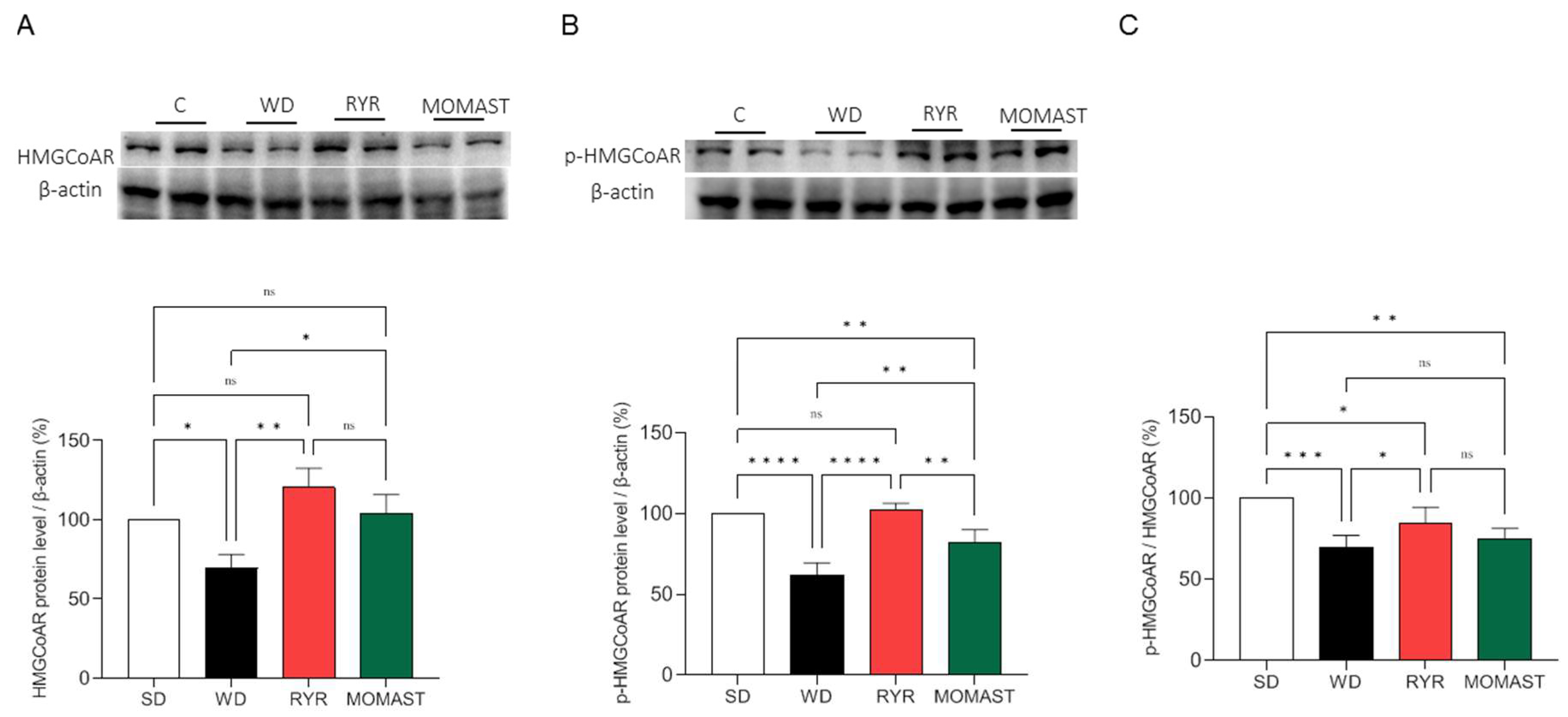 Antioxidants 12 01335 g008