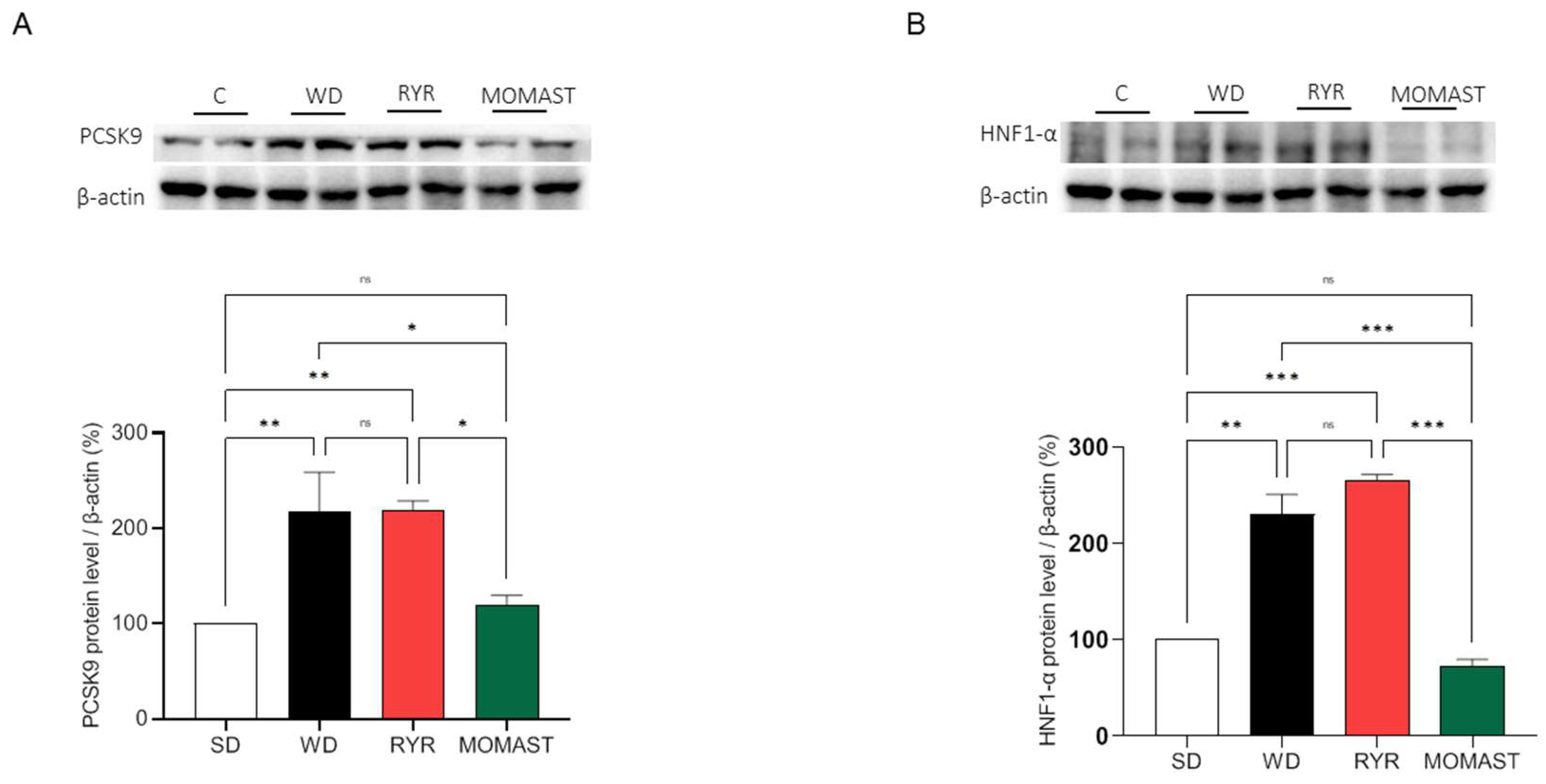 Antioxidants 12 01335 g009