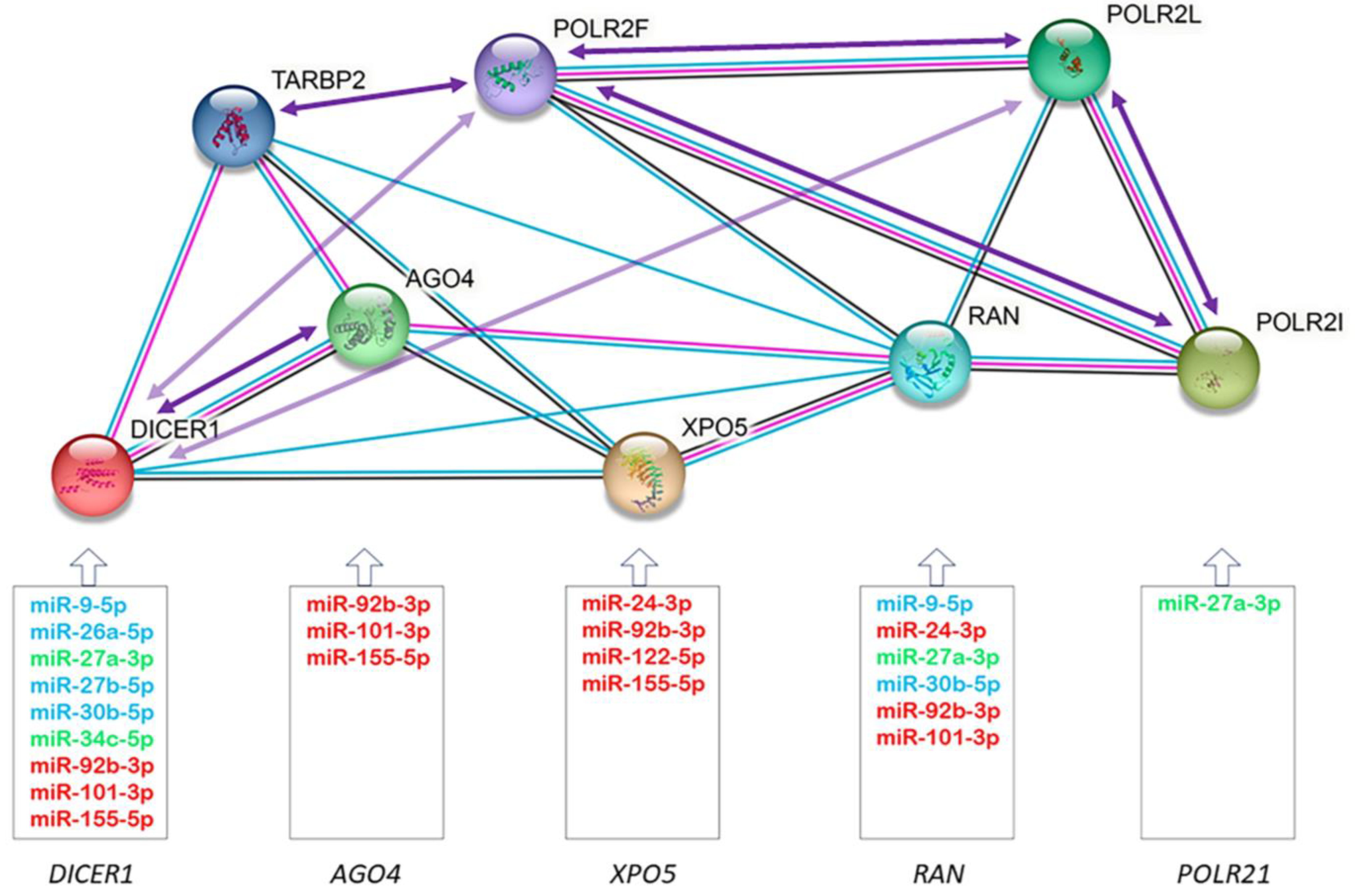 Antioxidants 12 01337 g004