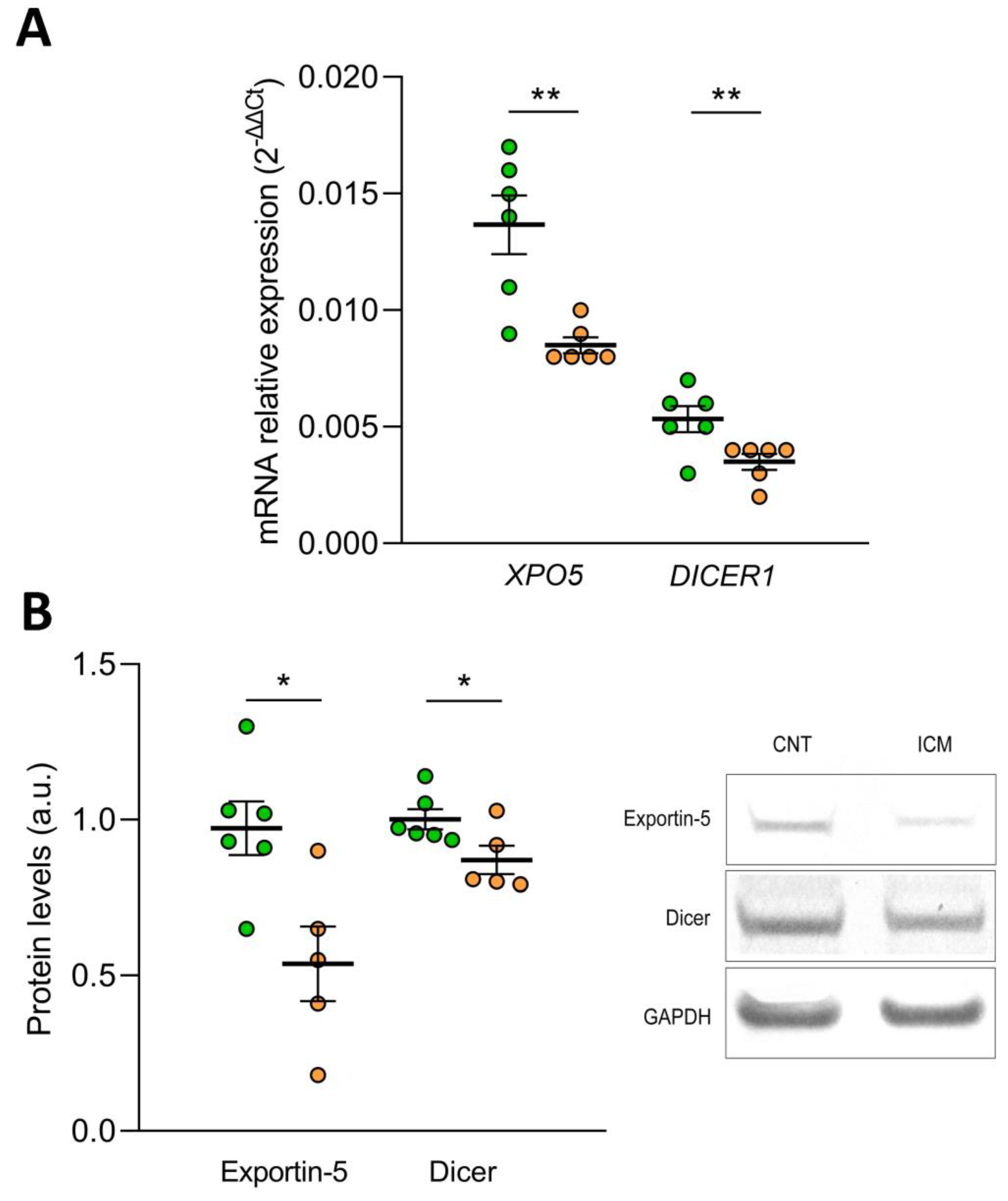 Antioxidants 12 01337 g005