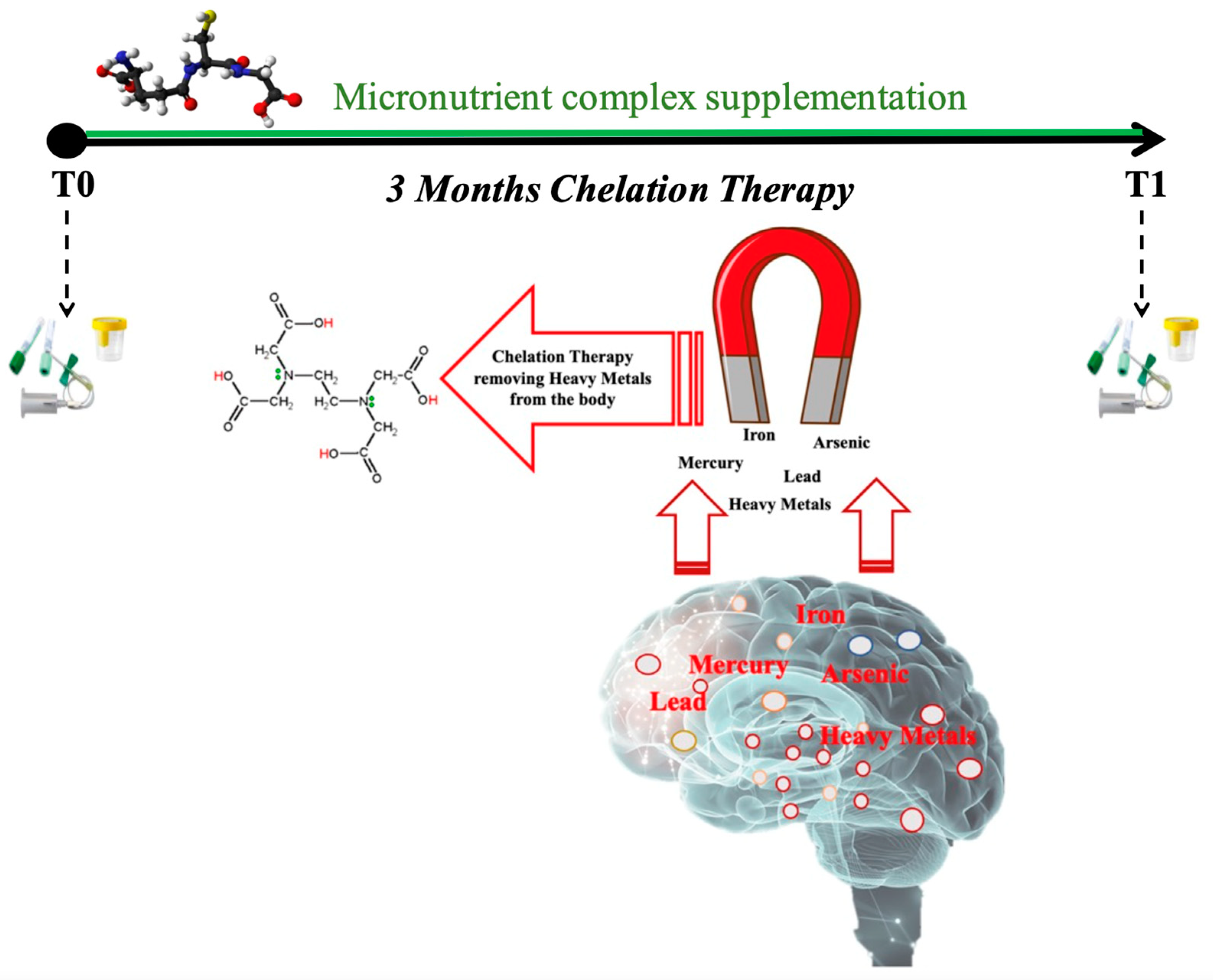Antioxidants 12 01338 g001