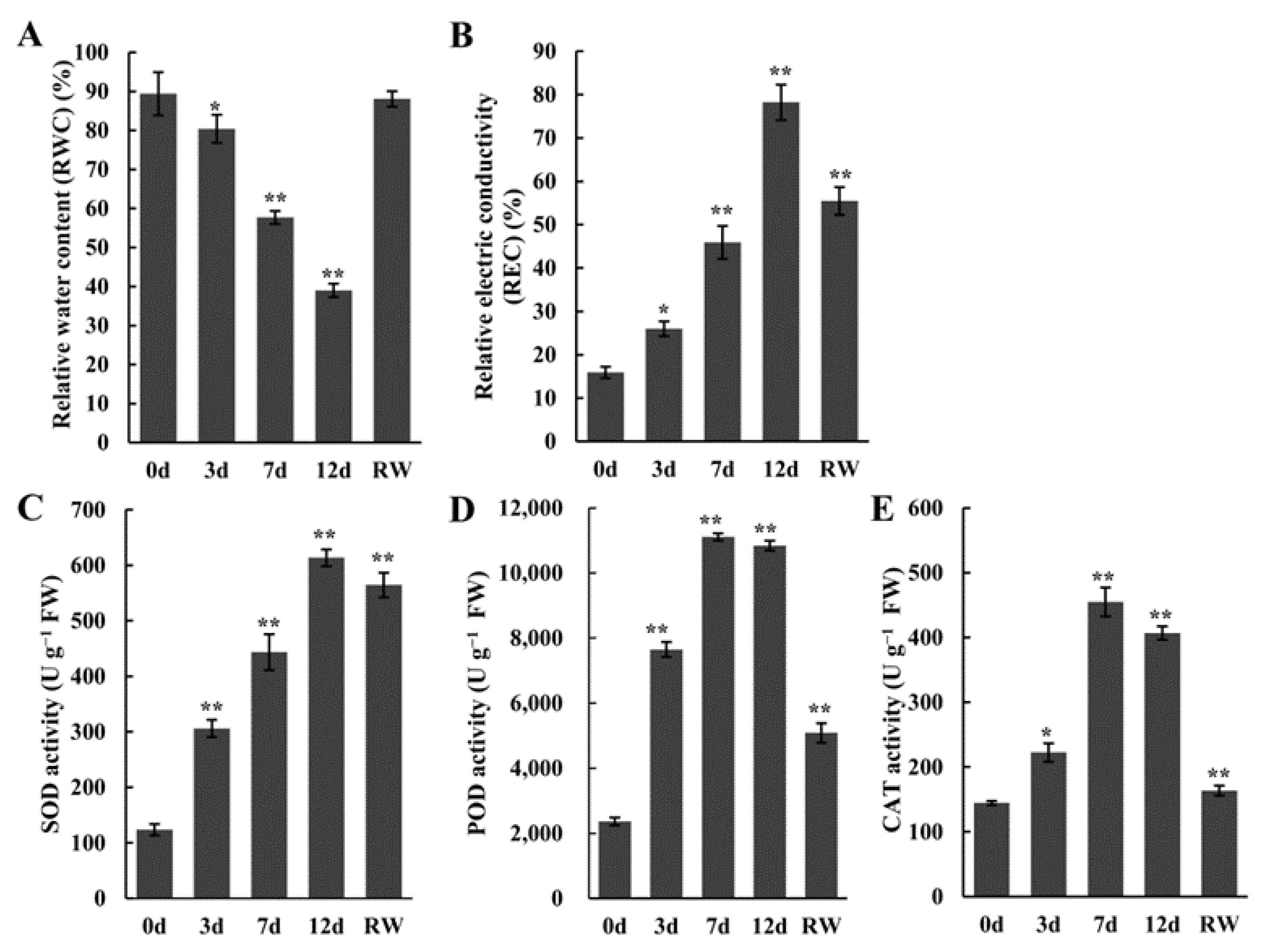 Antioxidants 12 01339 g001 Antioxidants 12 01339 g001