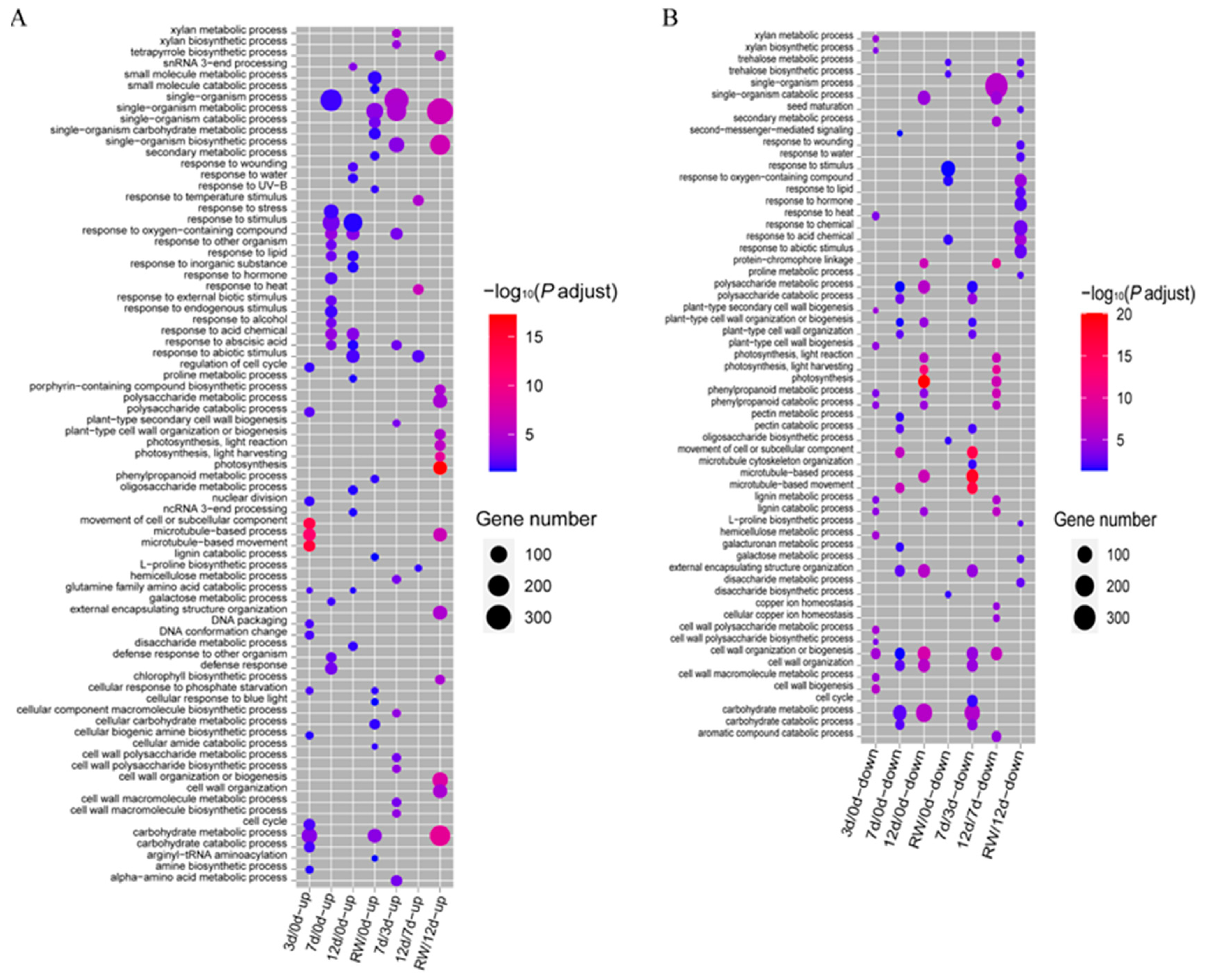 Antioxidants 12 01339 g003 Antioxidants 12 01339 g003
