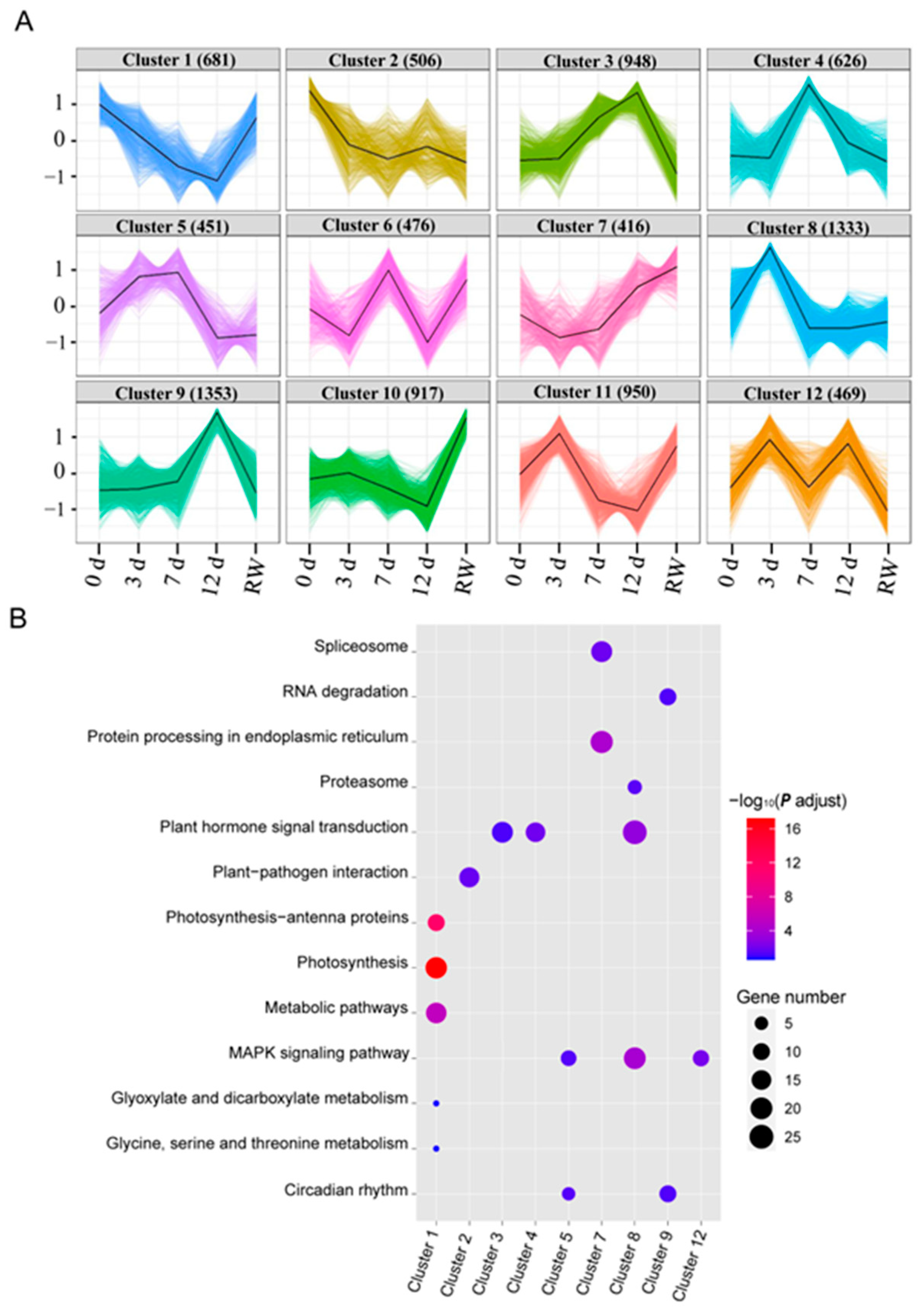 Antioxidants 12 01339 g005 Antioxidants 12 01339 g005