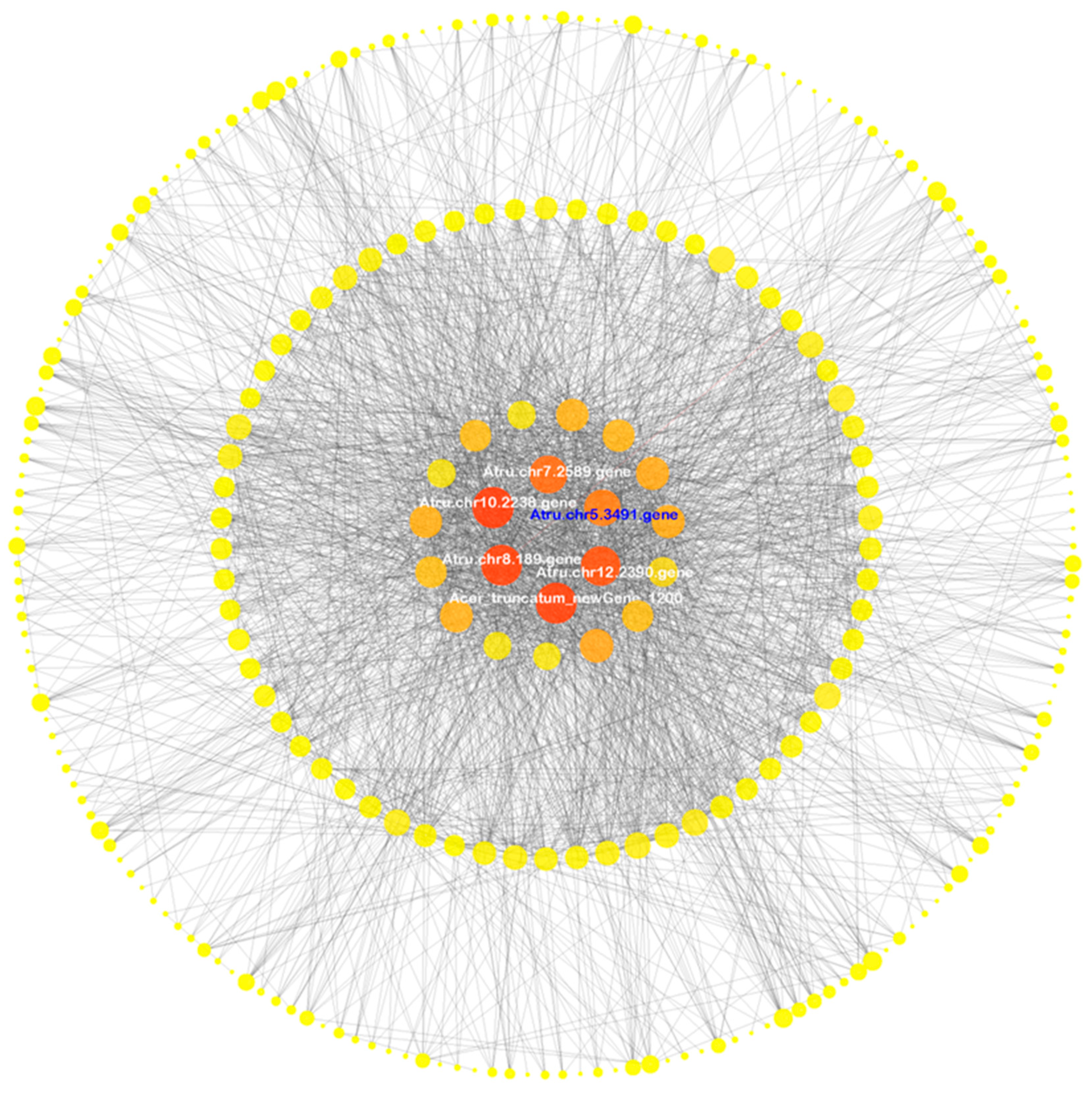 Antioxidants 12 01339 g006 Antioxidants 12 01339 g006