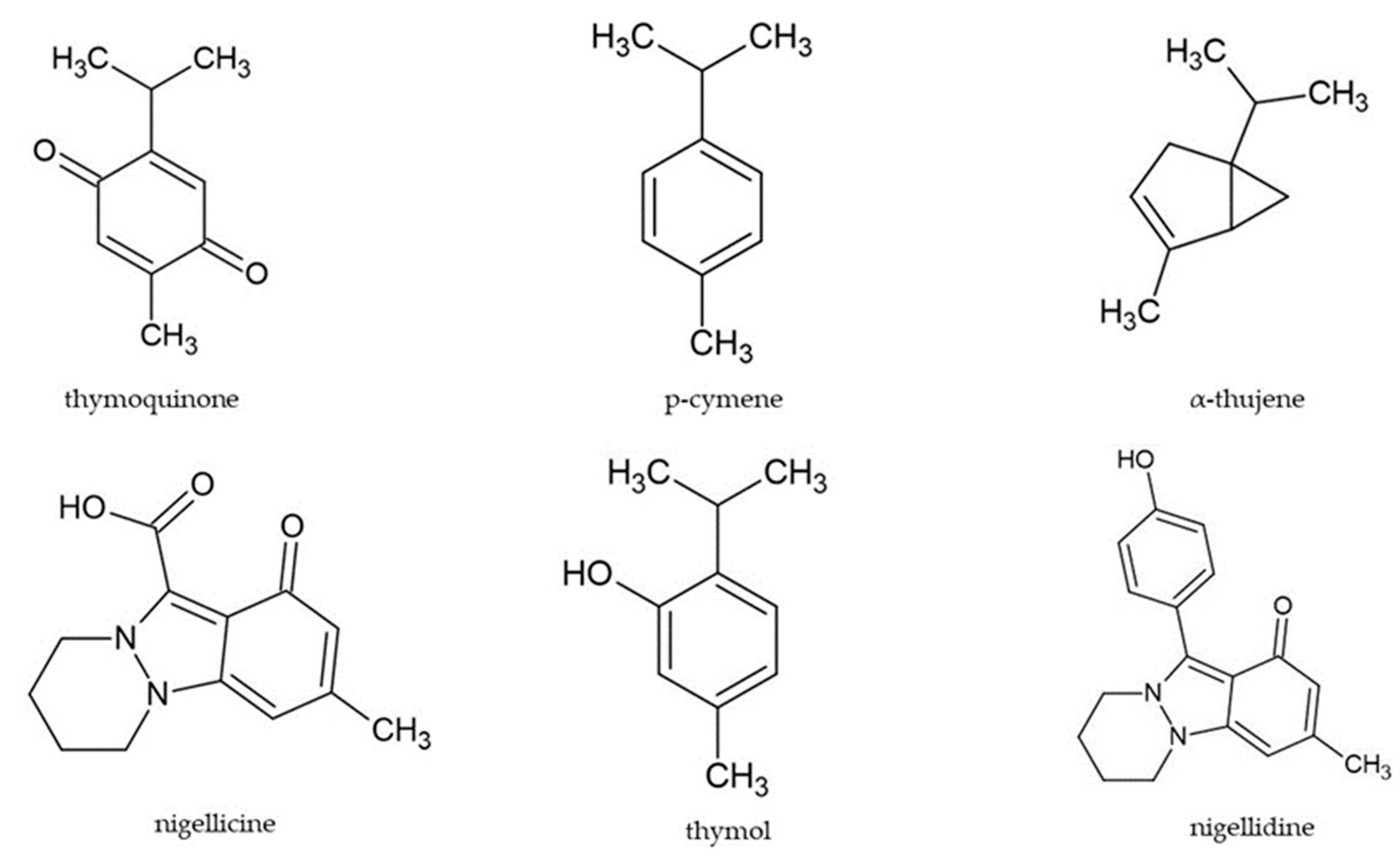 Antioxidants 12 01340 g001