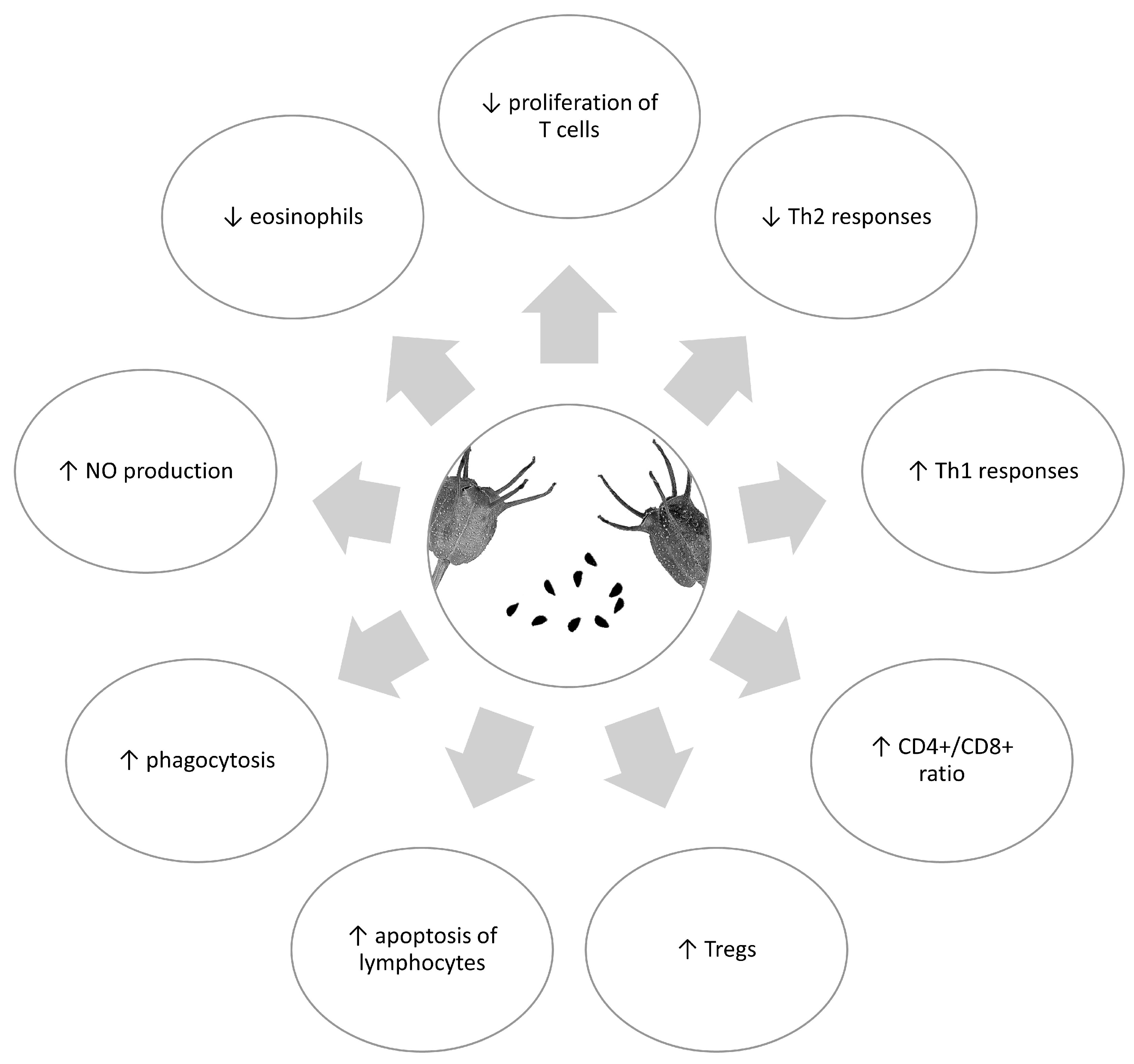 Antioxidants 12 01340 g002