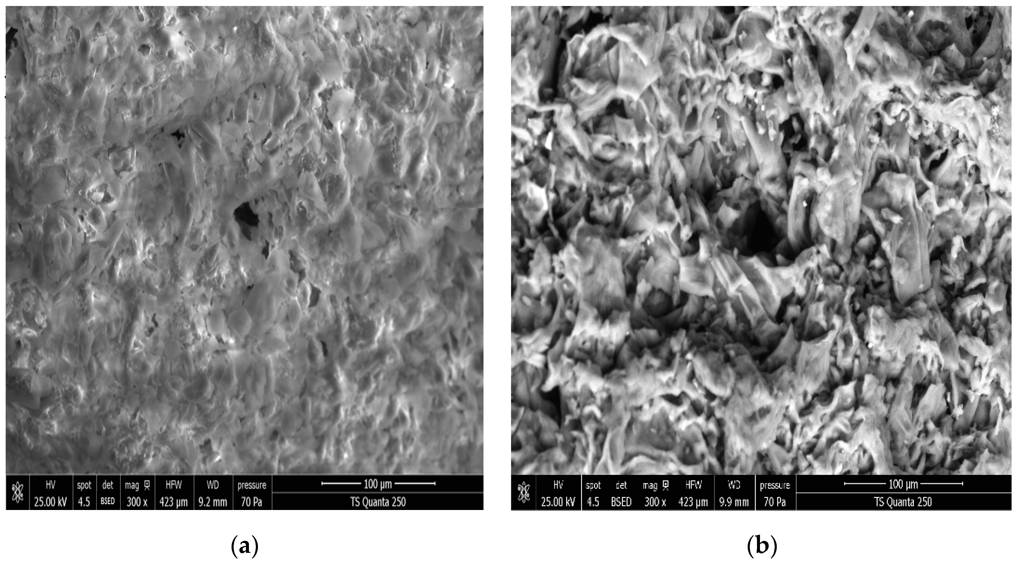 Antioxidants 12 01346 g005
