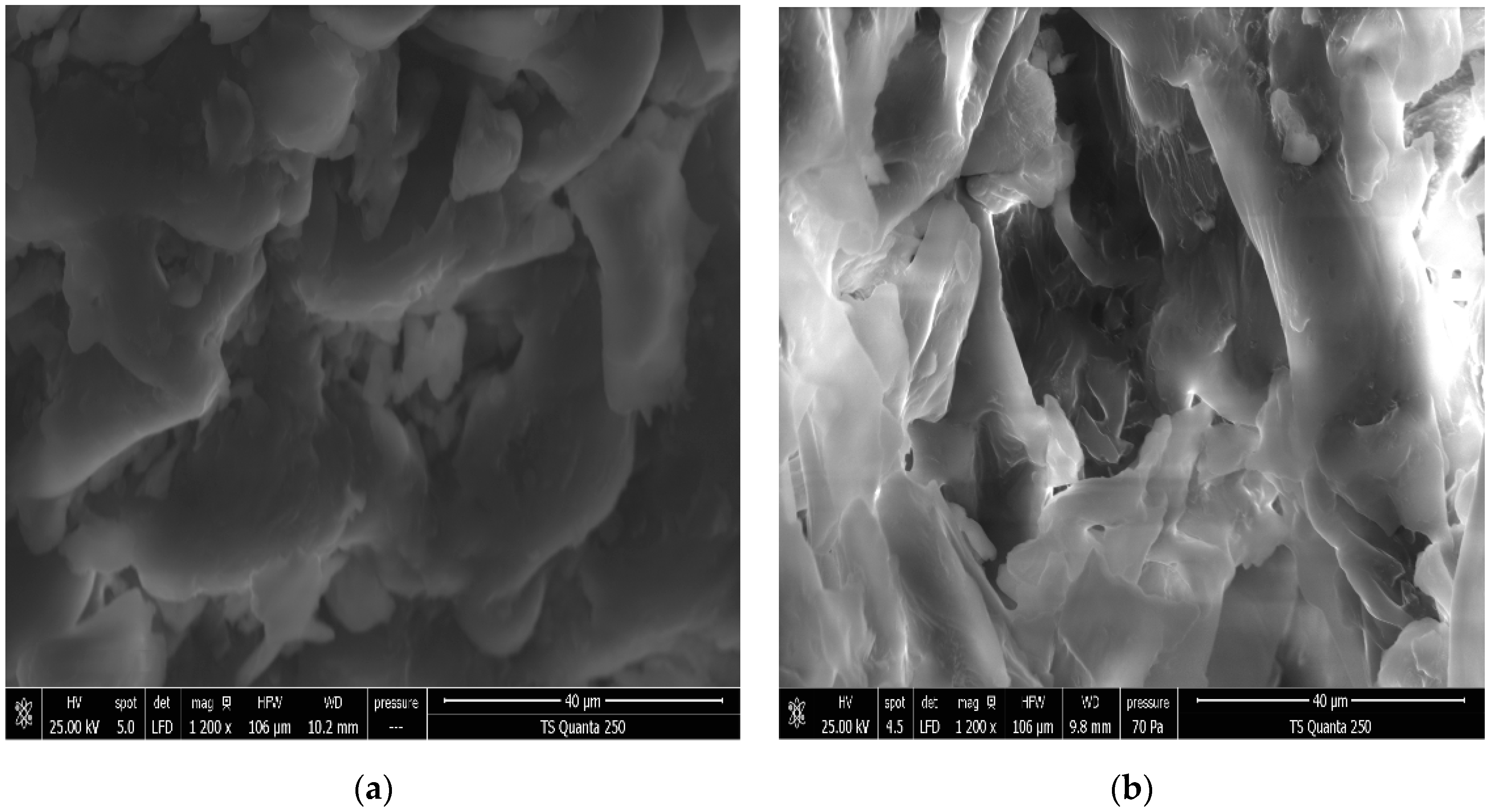 Antioxidants 12 01346 g006