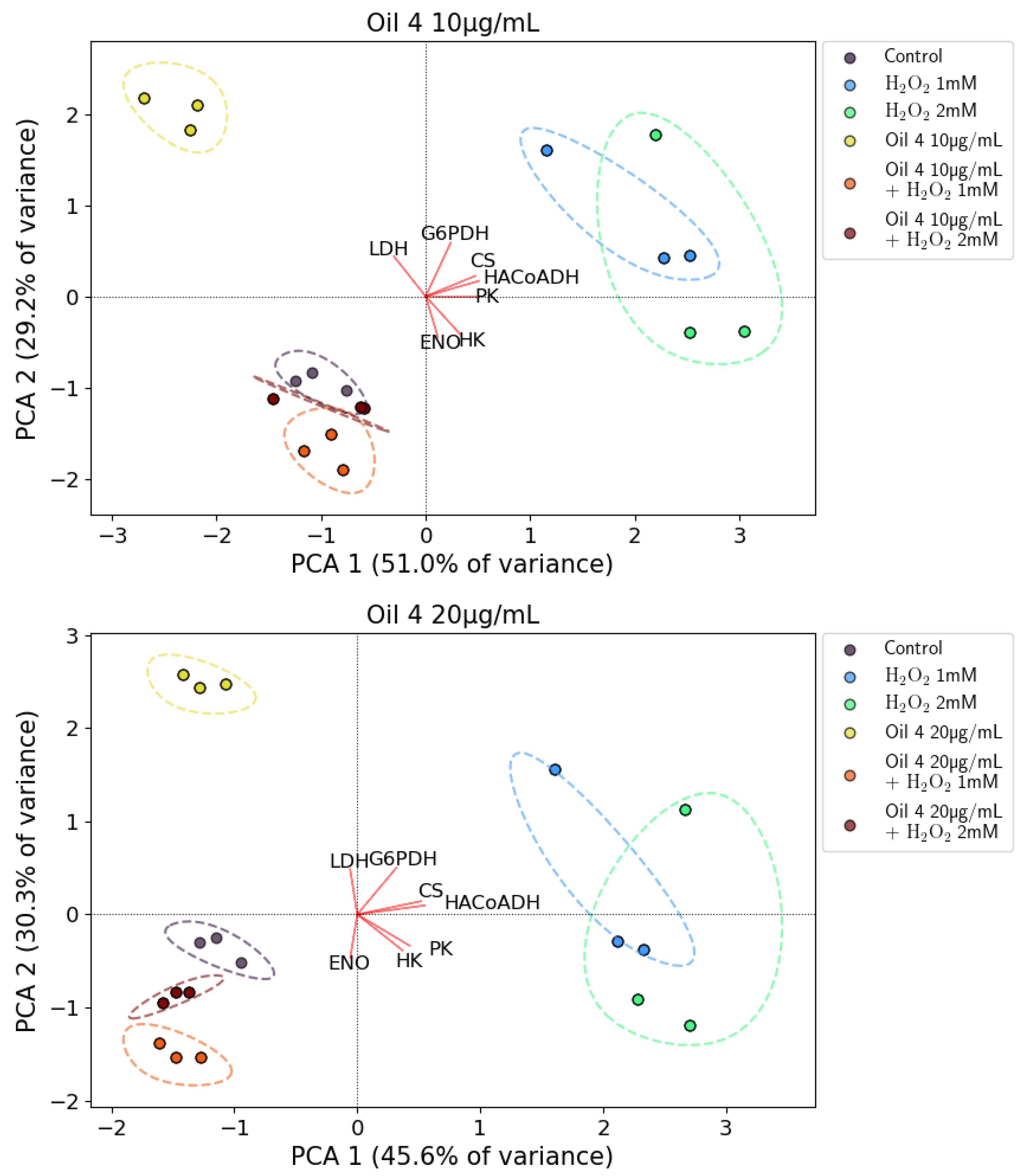 Antioxidants 12 01347 g010