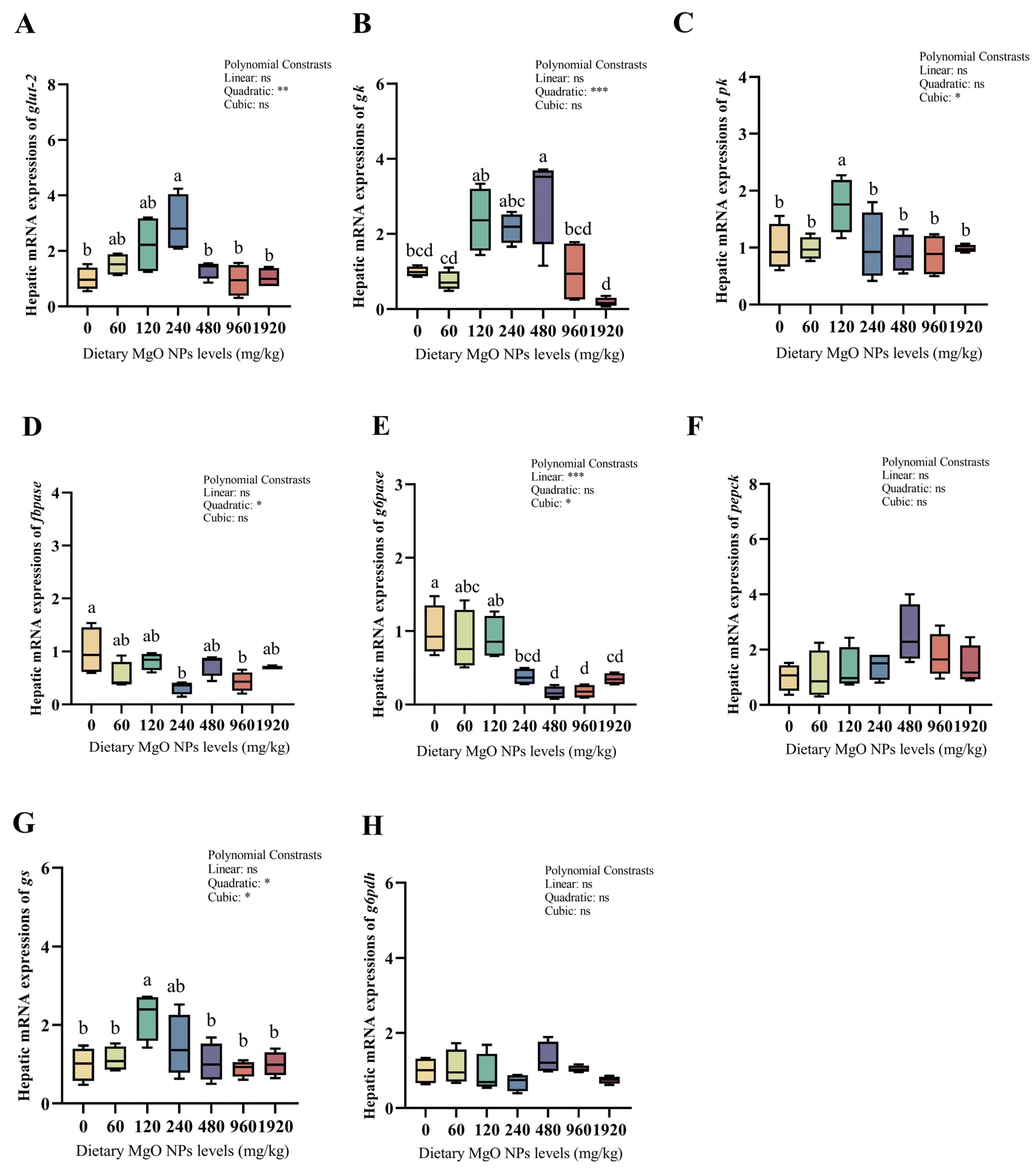 Antioxidants 12 01350 g004 Antioxidants 12 01350 g004
