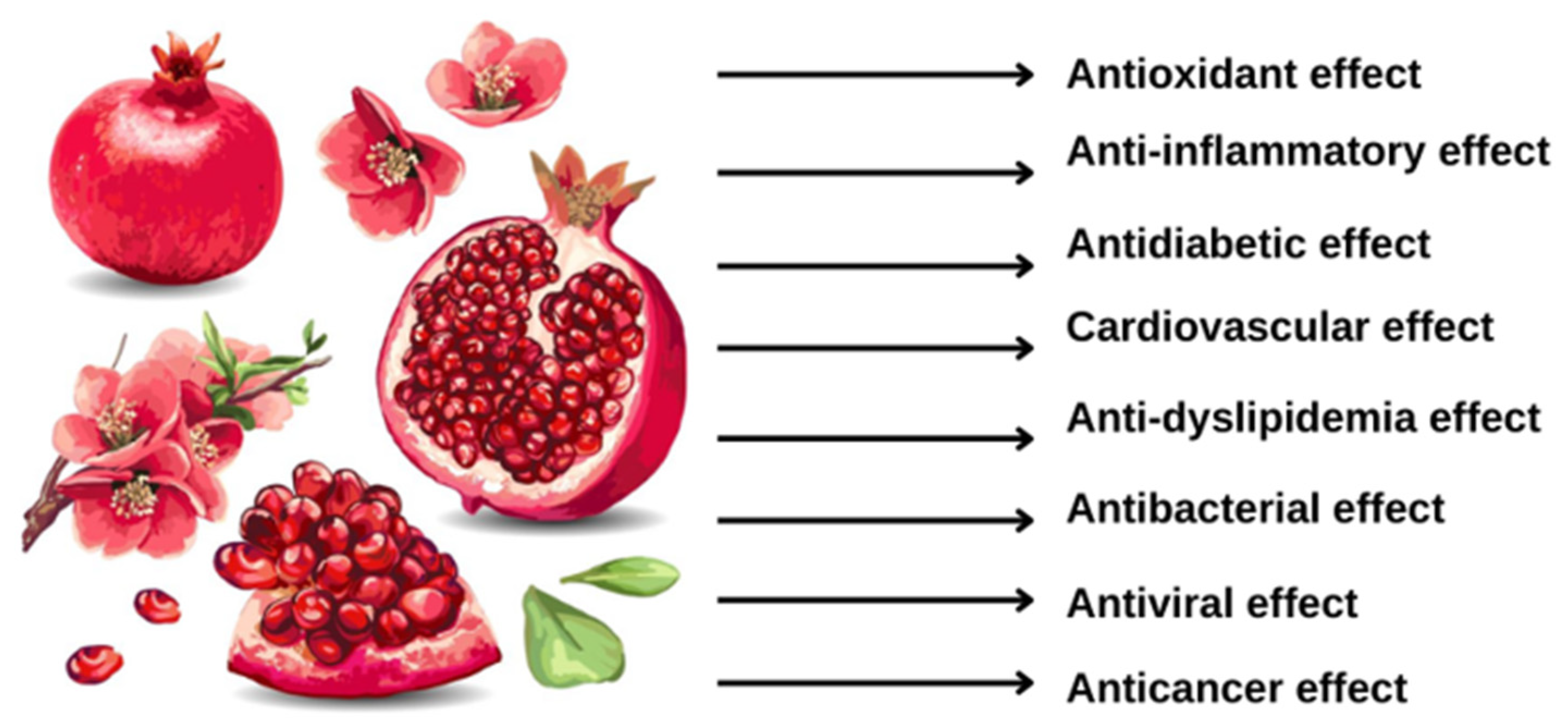 Antioxidants 12 01351 g001