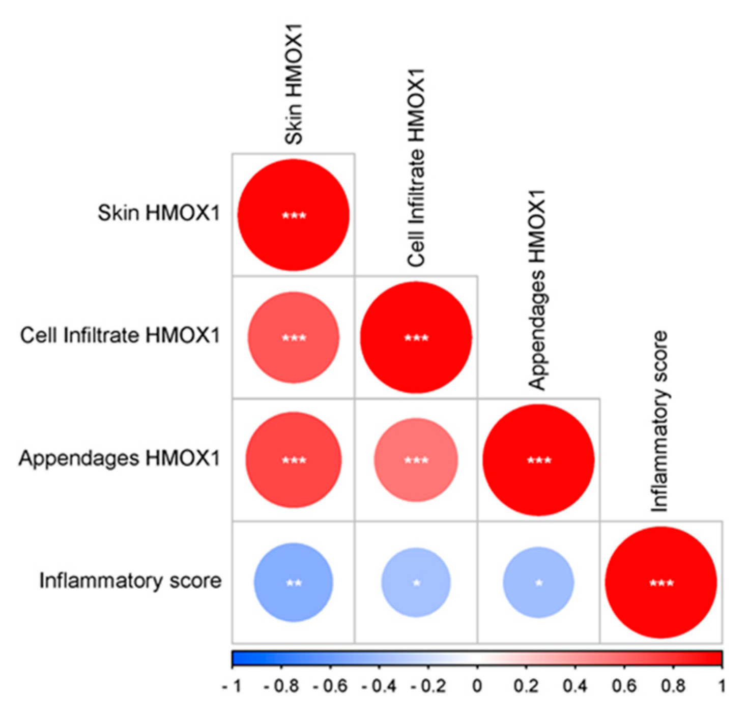 Antioxidants 12 01352 g002 Antioxidants 12 01352 g002