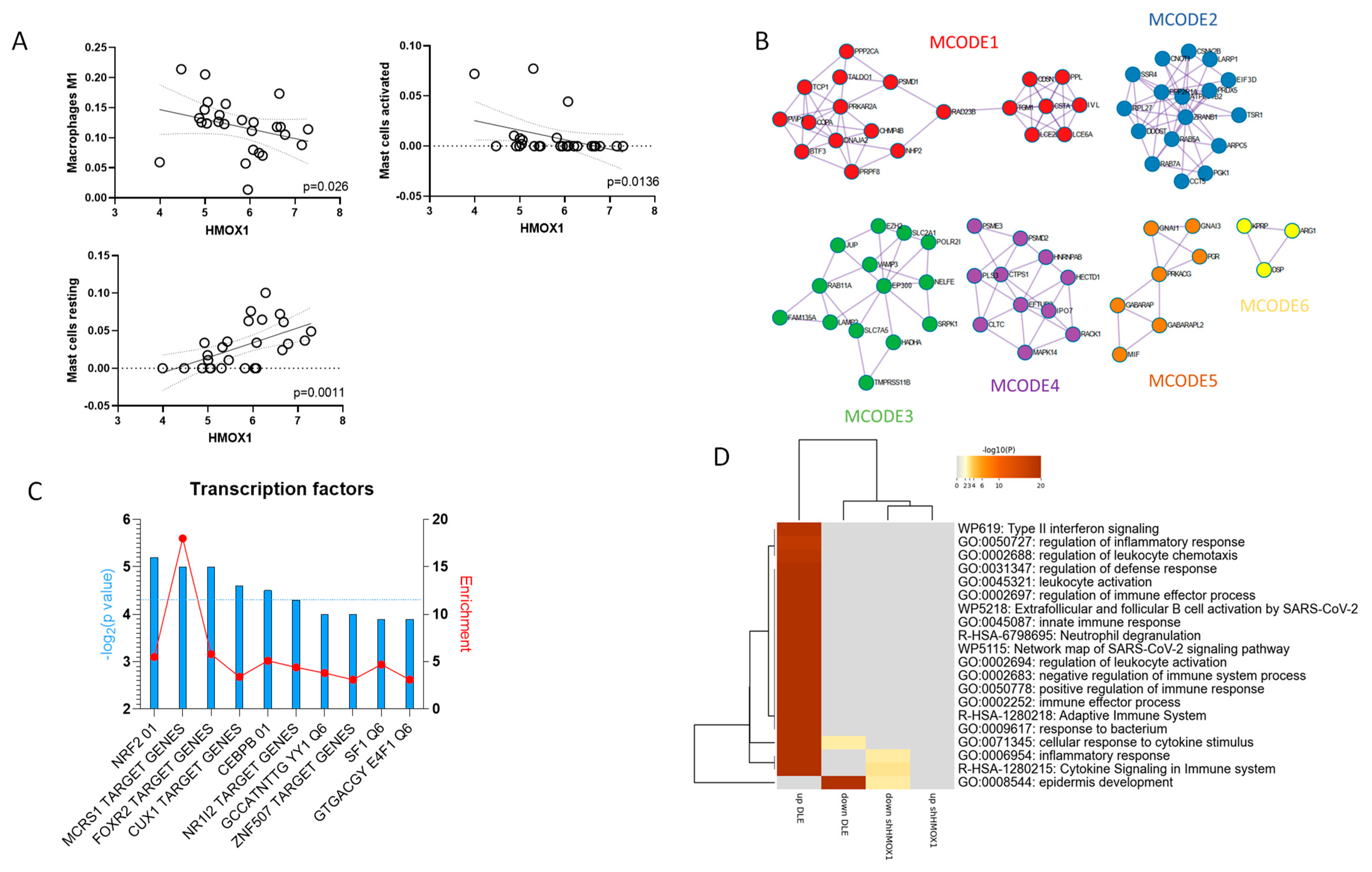 Antioxidants 12 01352 g003 Antioxidants 12 01352 g003