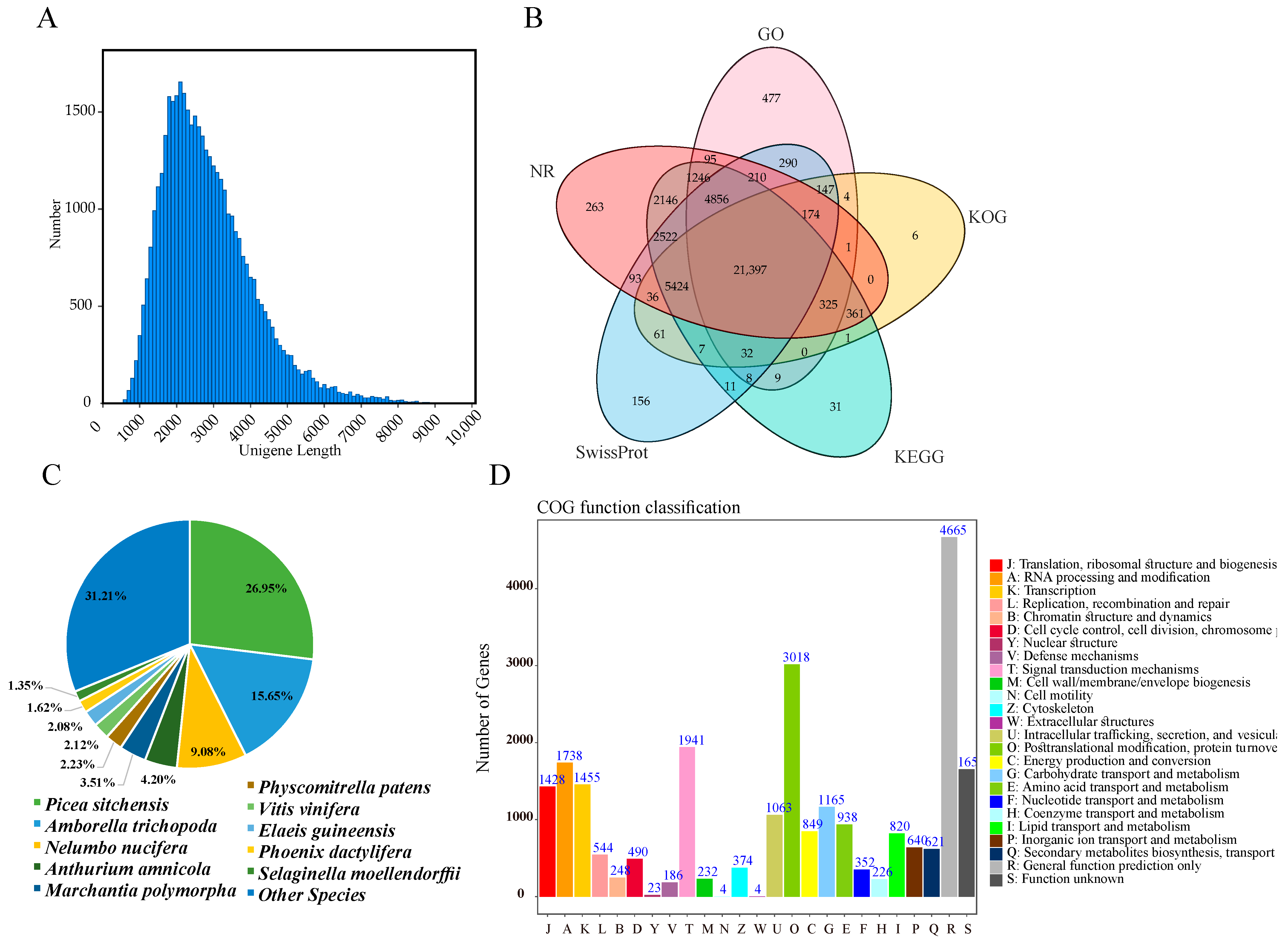 Antioxidants 12 01353 g003