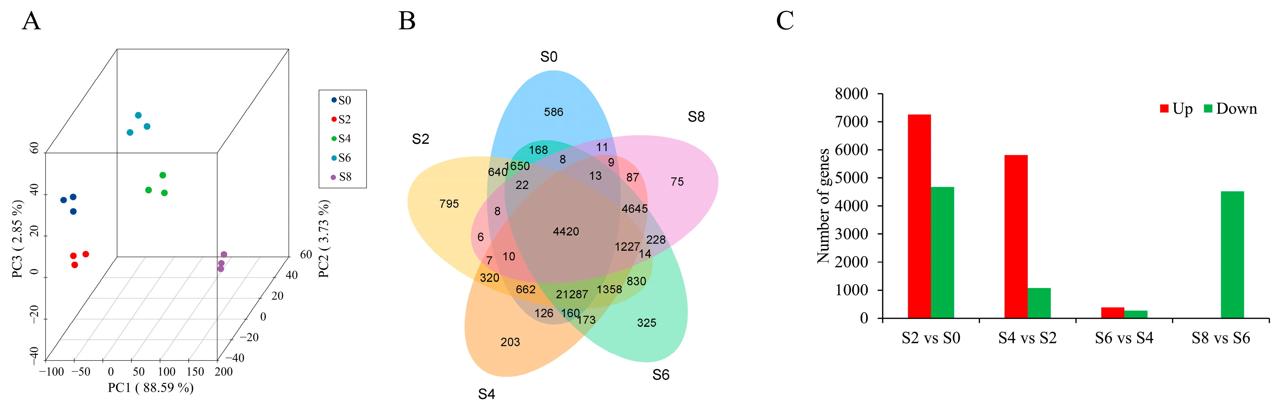Antioxidants 12 01353 g004
