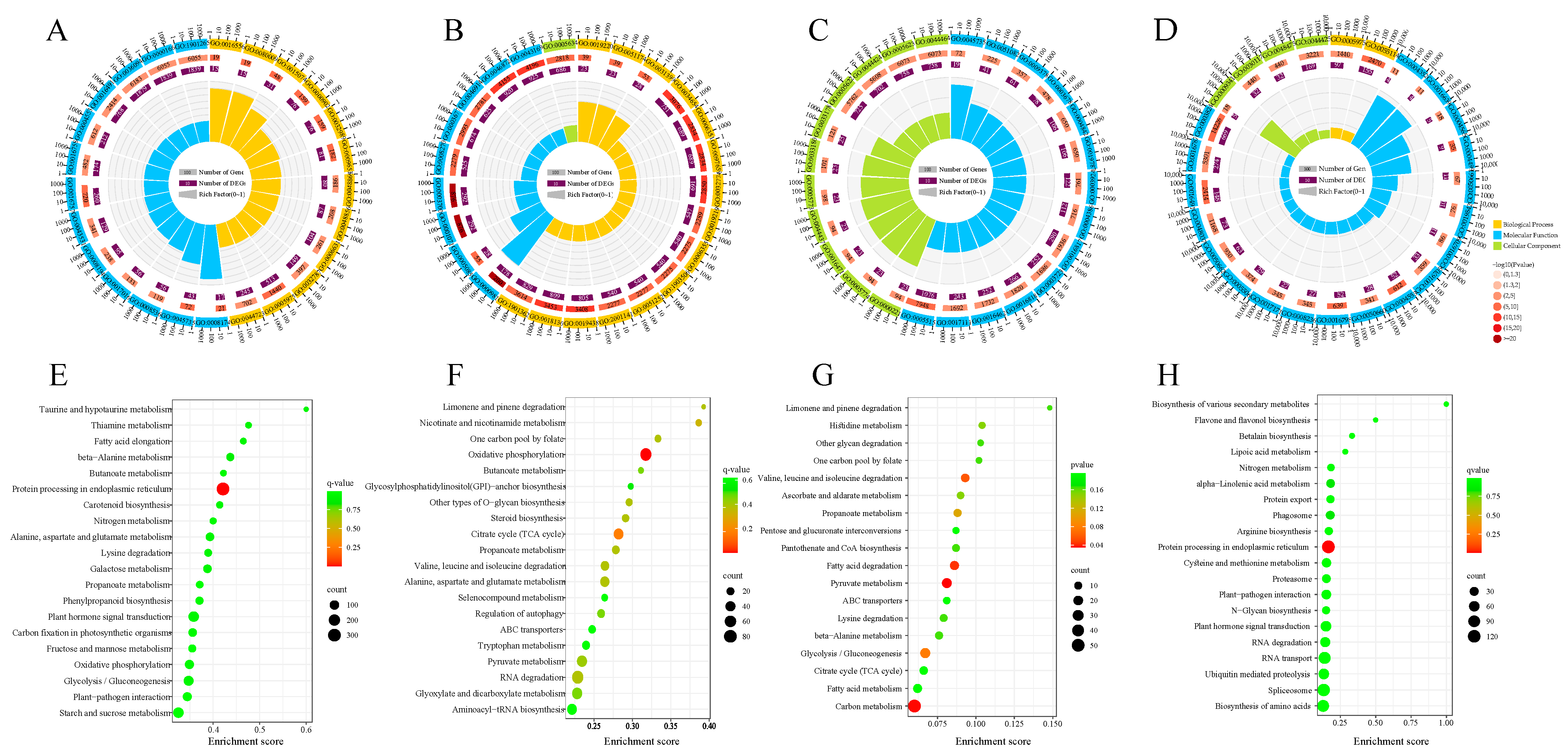 Antioxidants 12 01353 g006