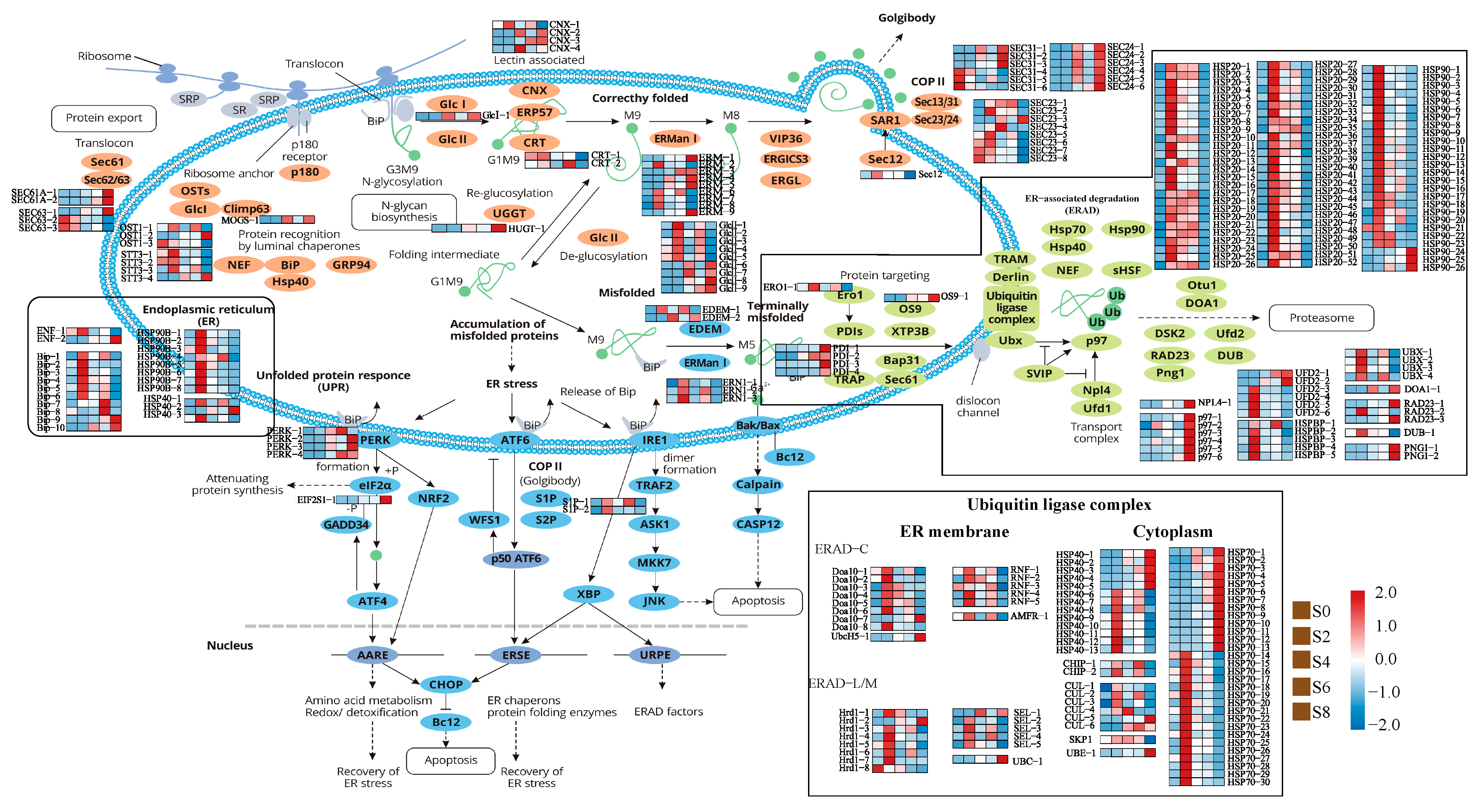 Antioxidants 12 01353 g007
